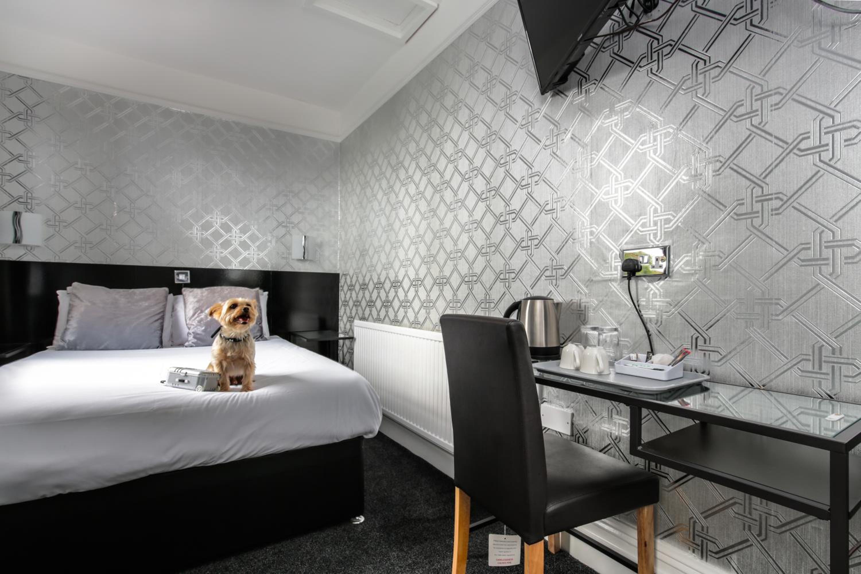 Single Room - Photo 2