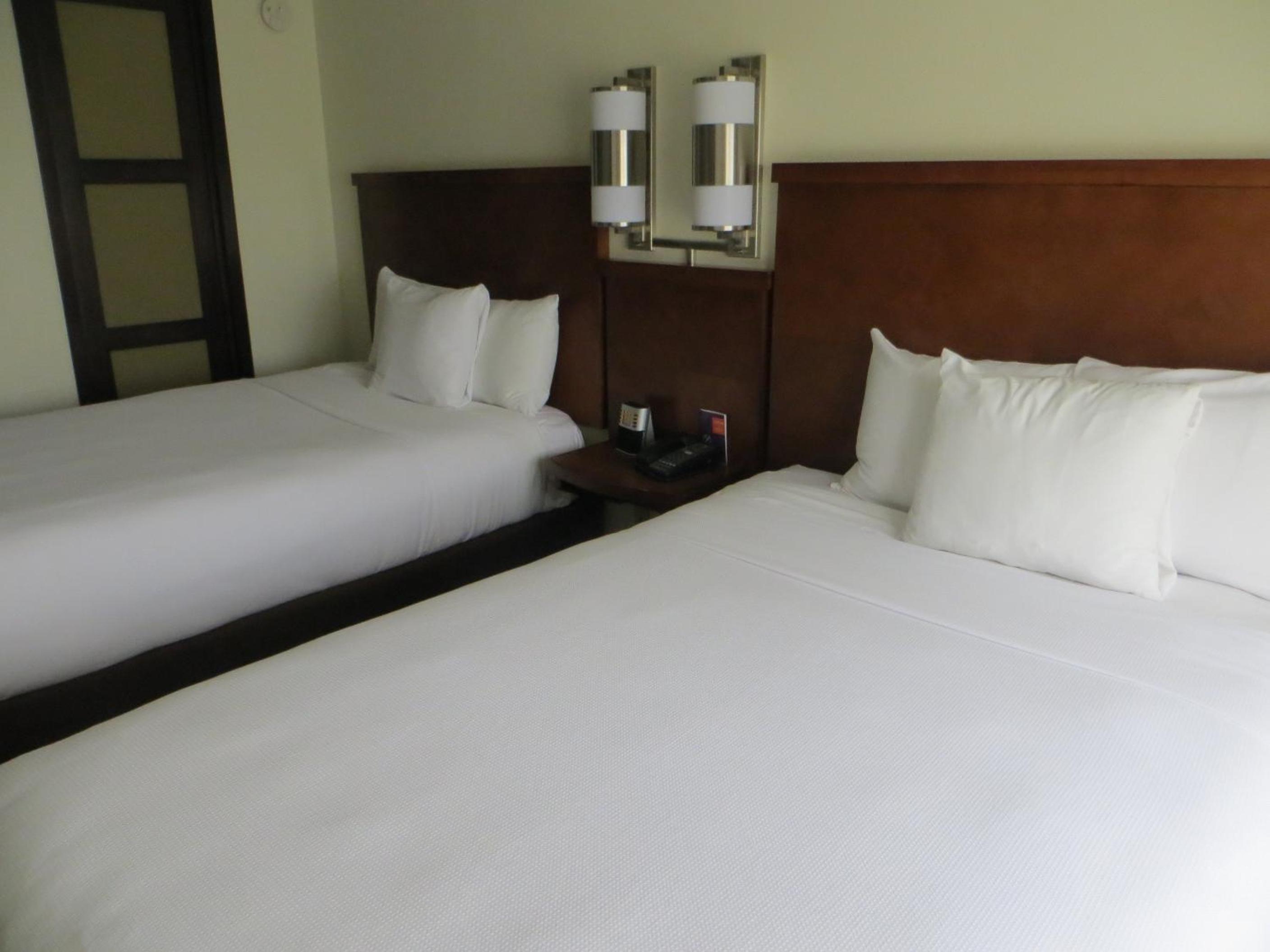 Double Room with Two Double Beds and Sofa Bed - Photo 2