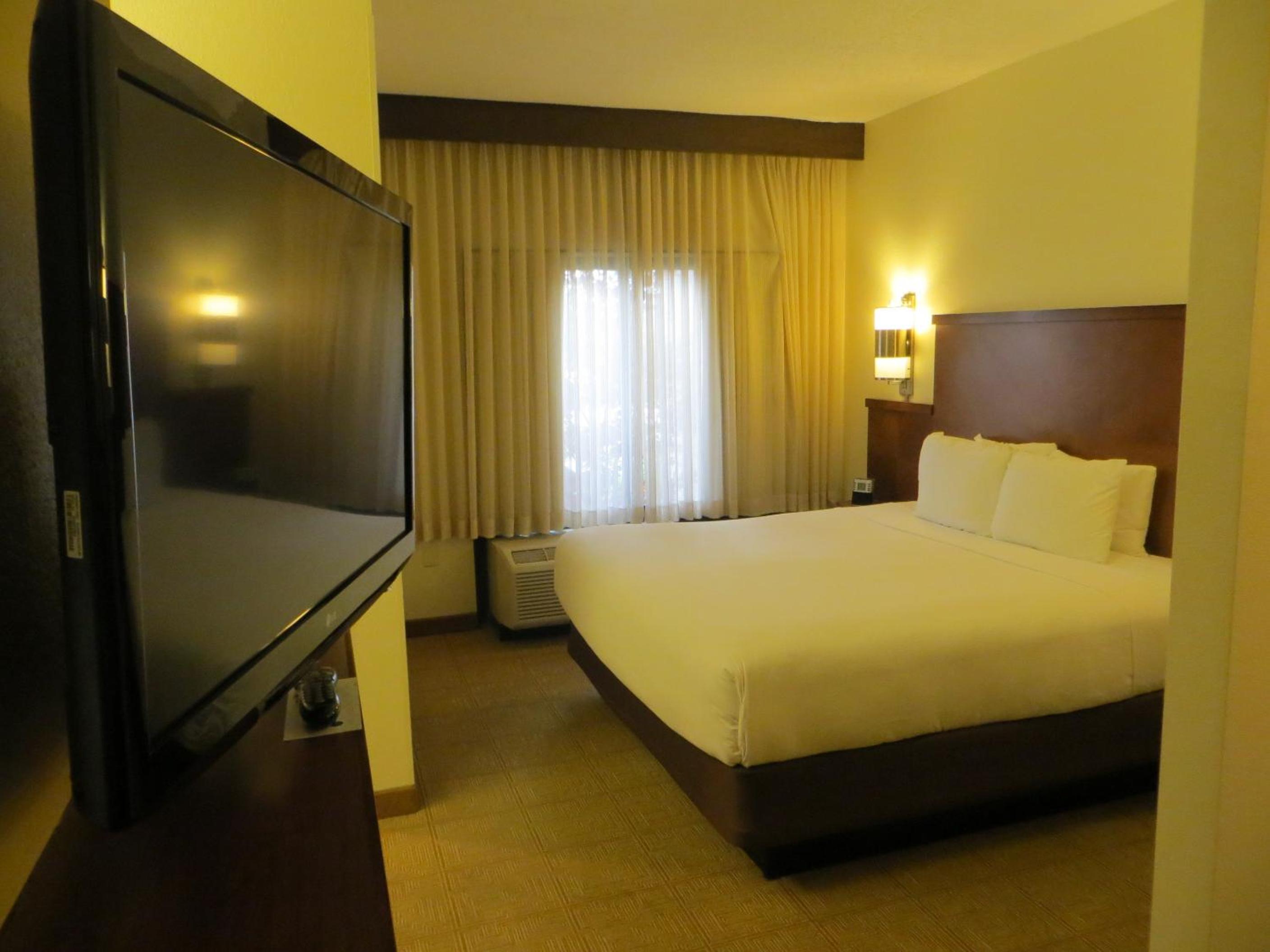 King Room with Sofa Bed and Roll-In Shower - Disability Access photo 3