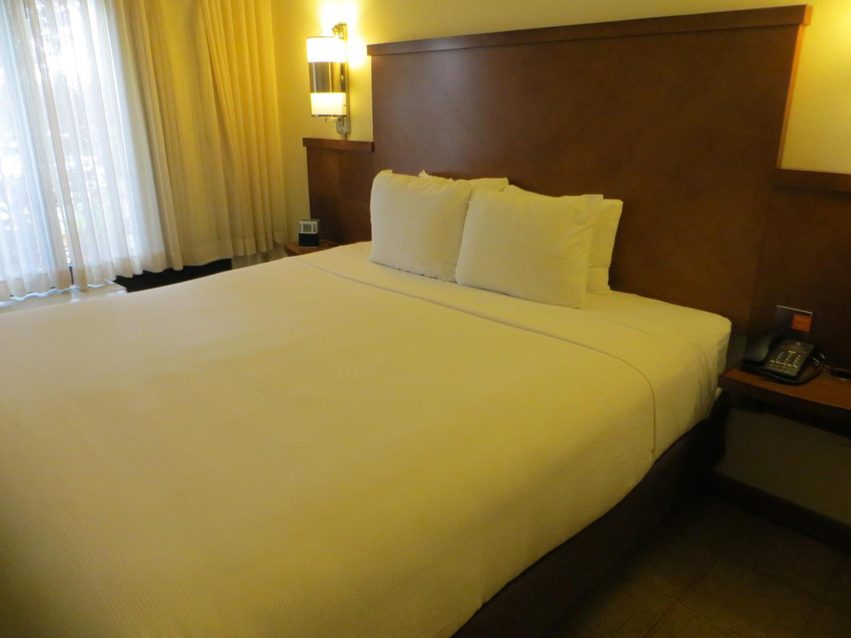 King Room with Sofa Bed and Roll-In Shower - Disability Access photo 2