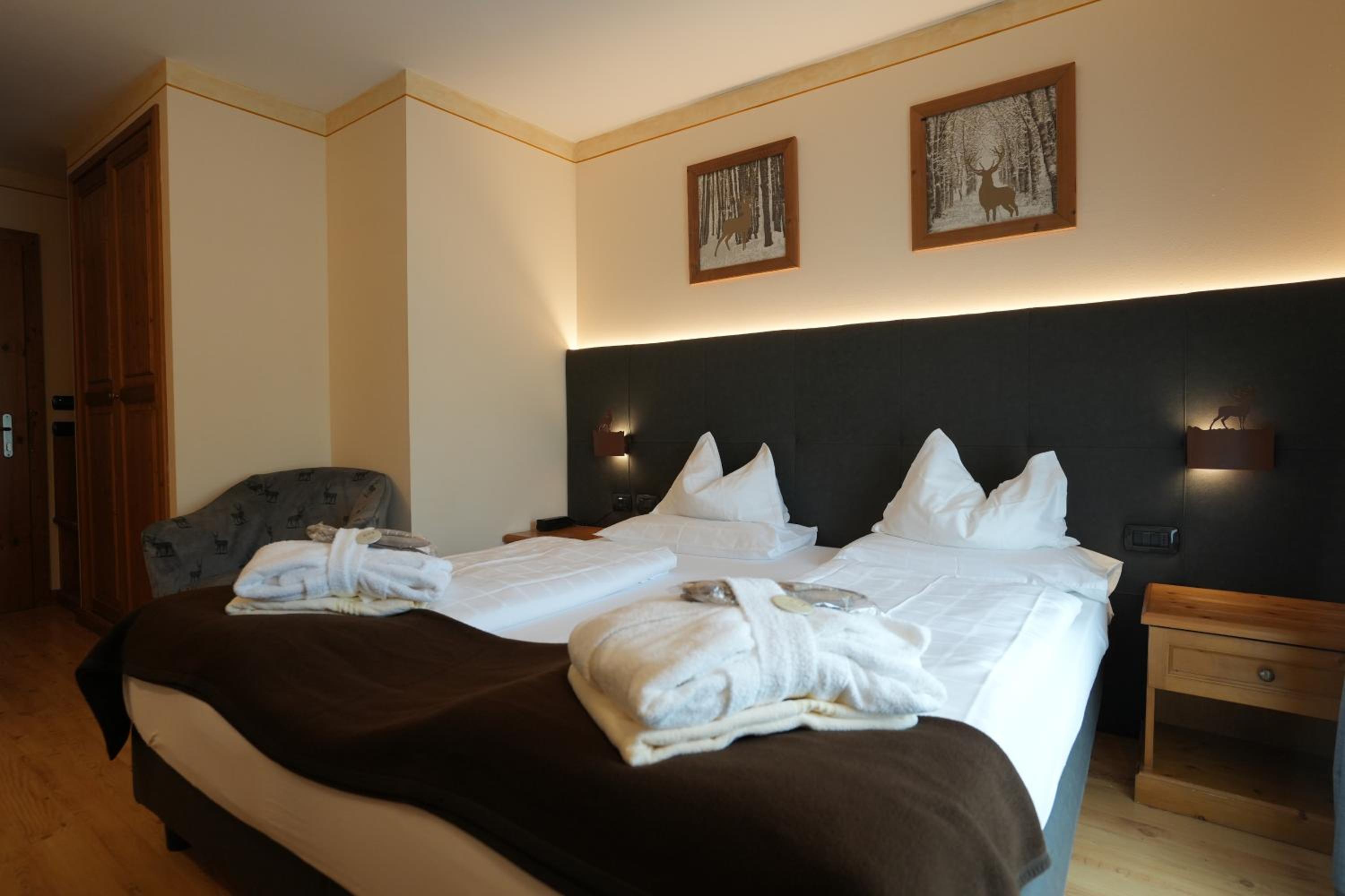 Deluxe Double or Twin Room photo 2