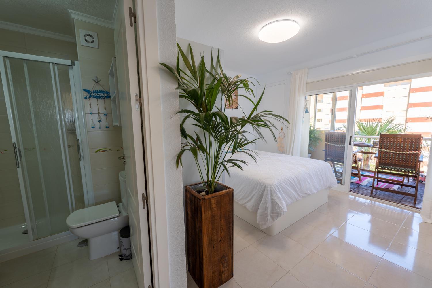 Apartamento Estudio