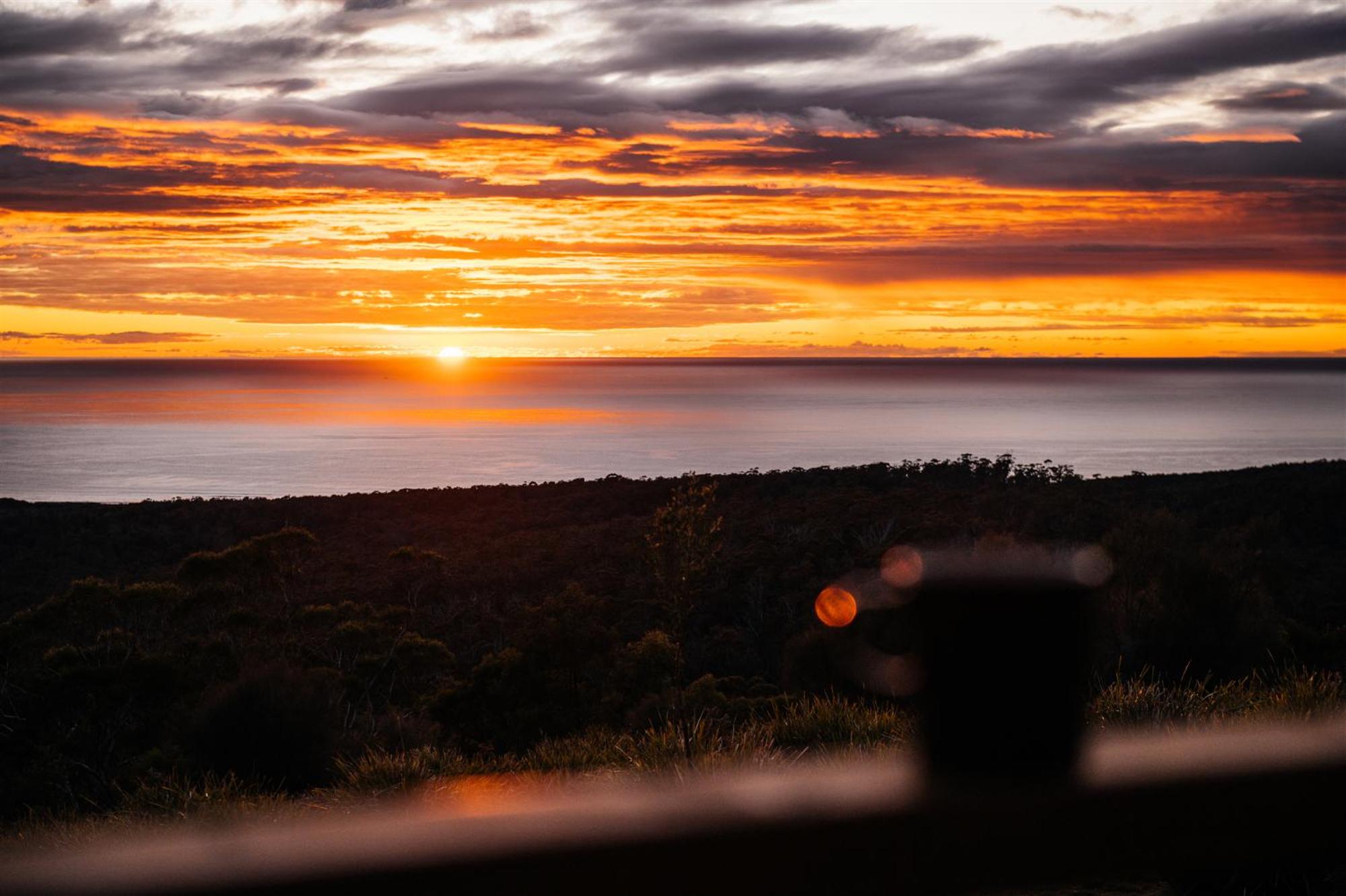 Studio Cabin with Ocean View photo 3