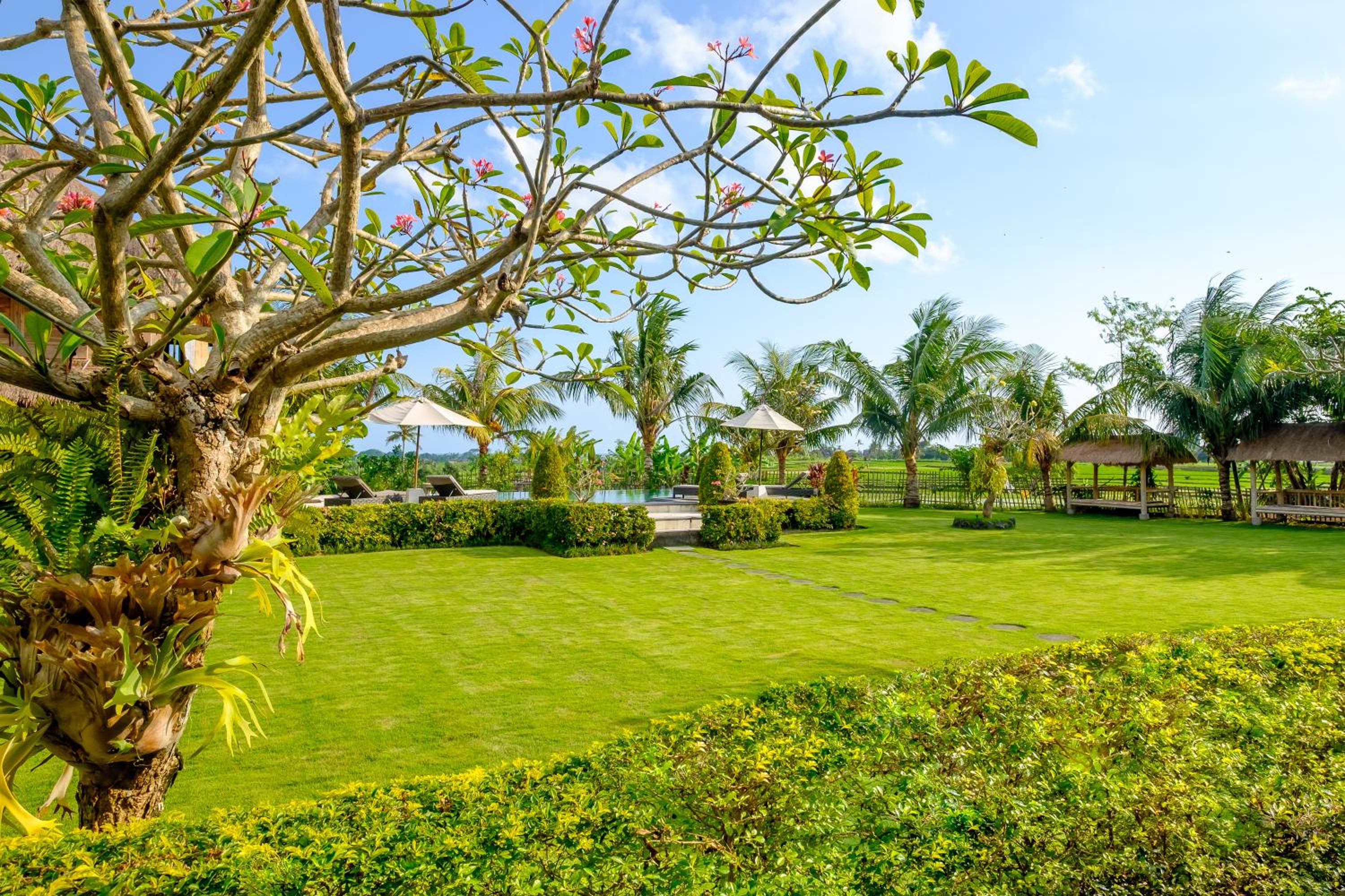 Bungalow with Garden View - Photo 13