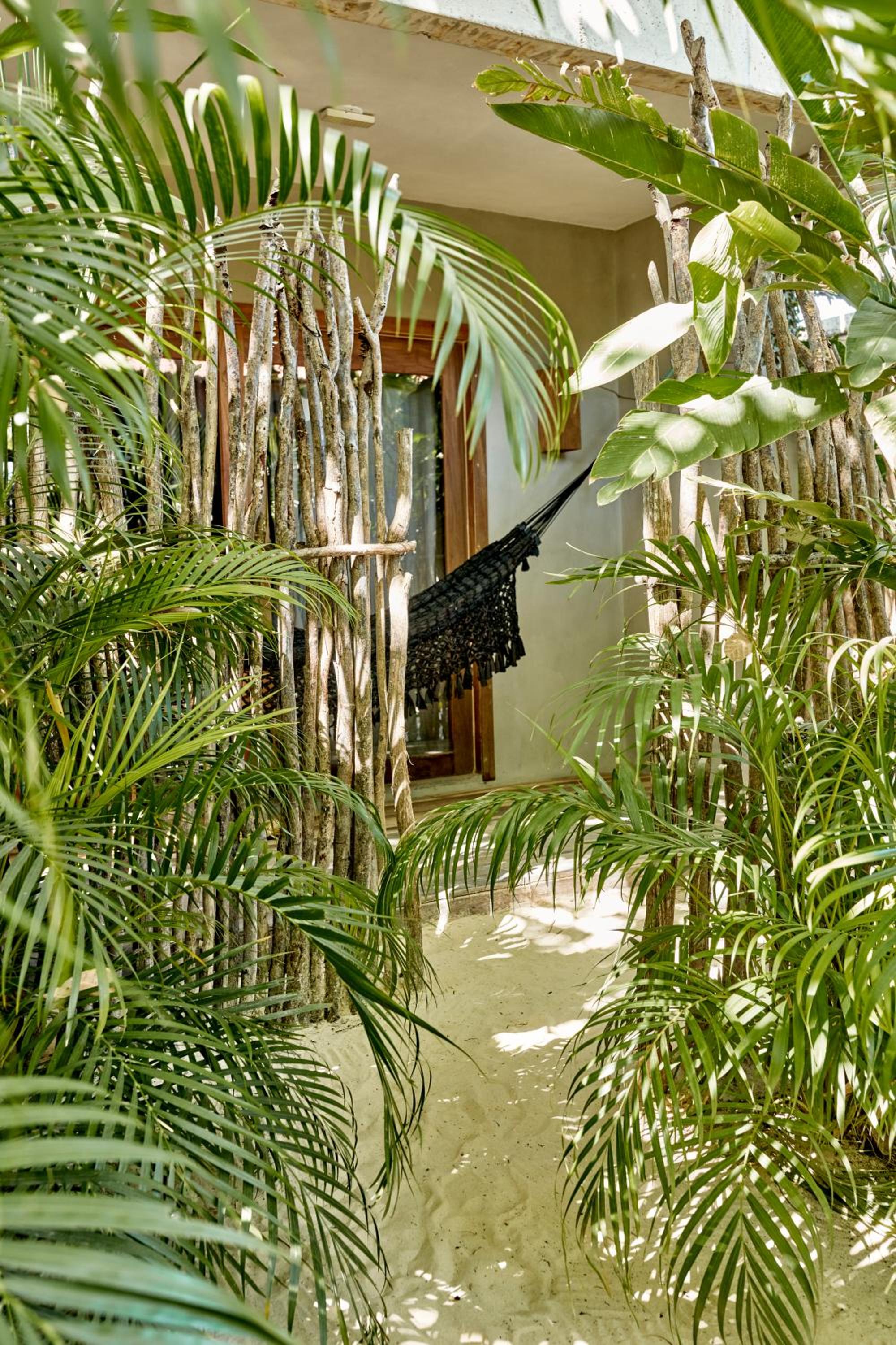 Suite with Terrace photo 2