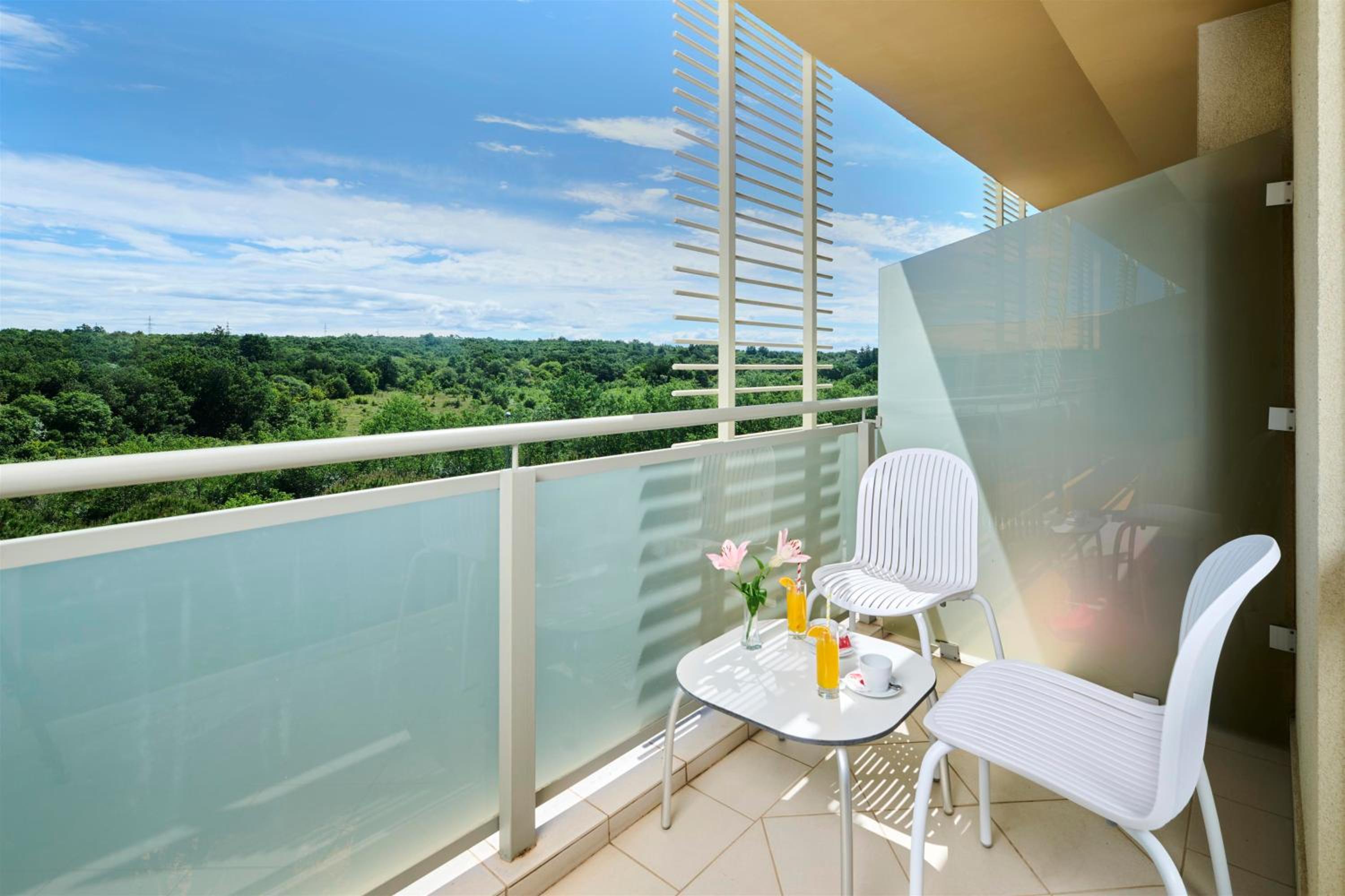 Classic Room with Balcony Park Side - Extra Bed photo 2