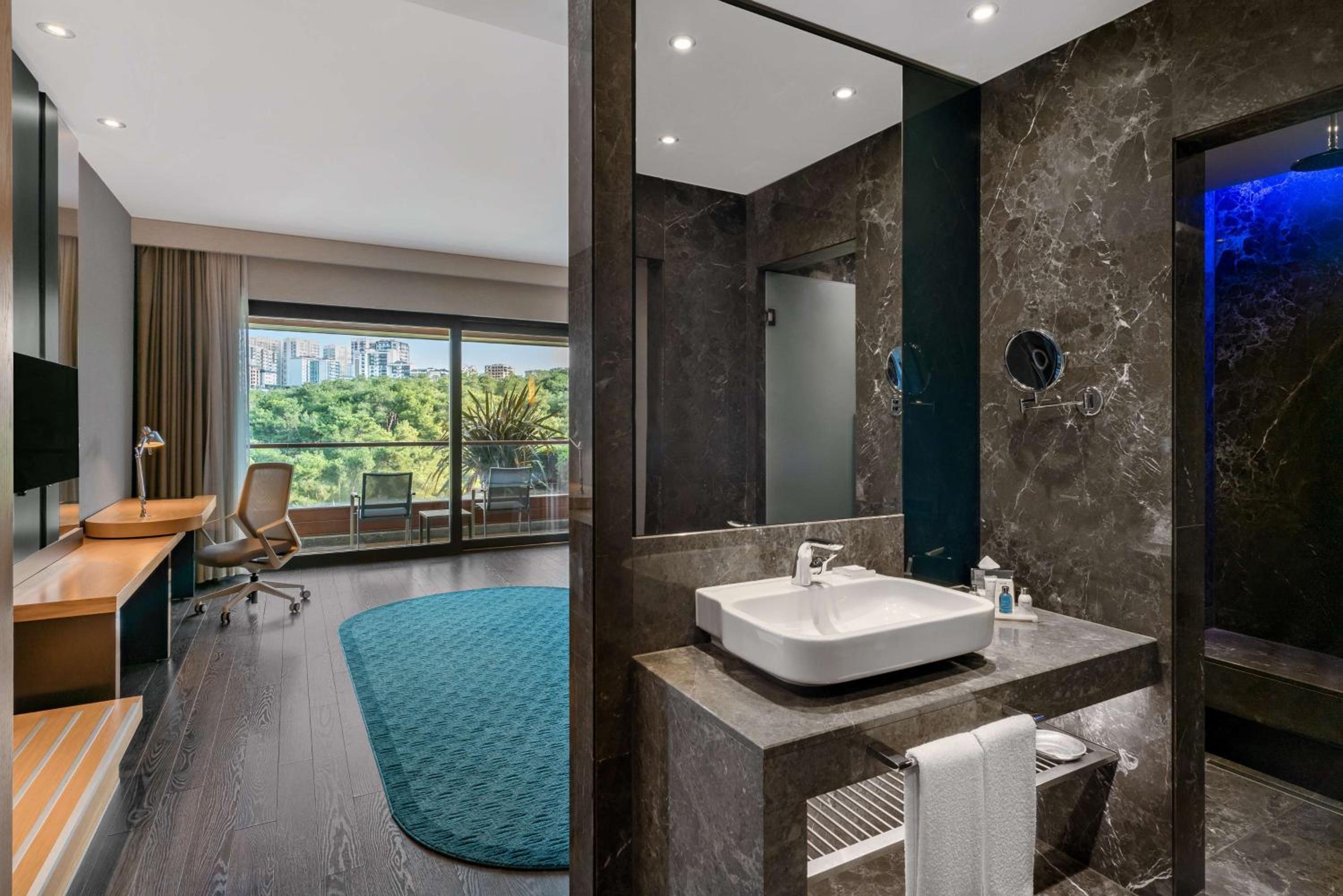 Premium Room with Terrace photo 3