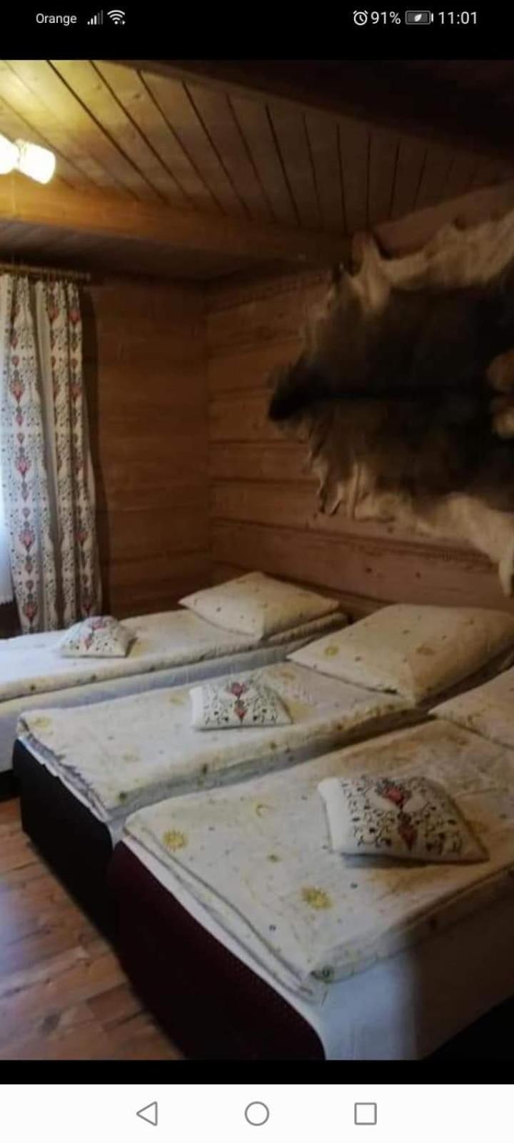 Triple Room with Mountain View photo 1