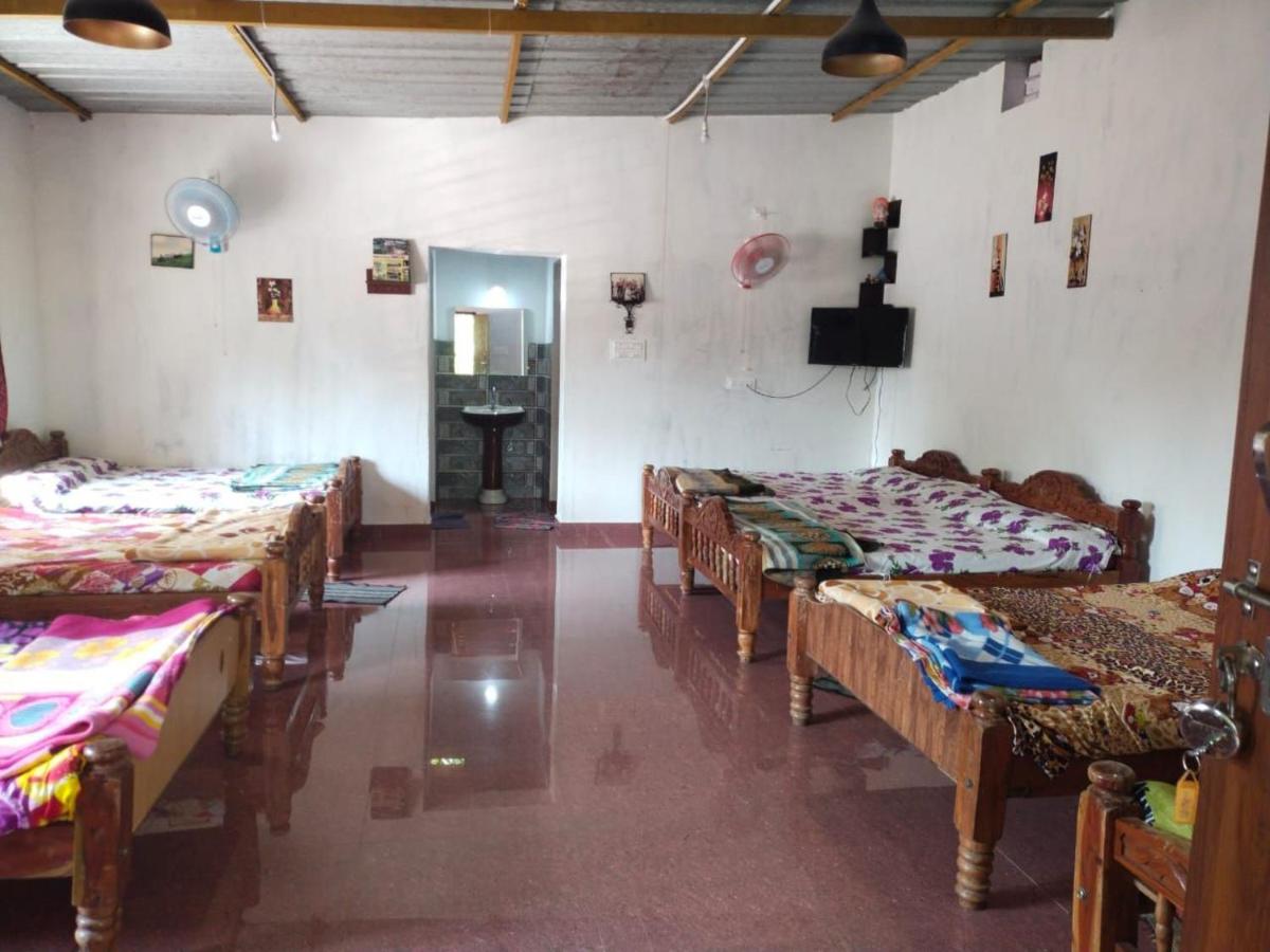 Mixed Dormitory Room photo 2