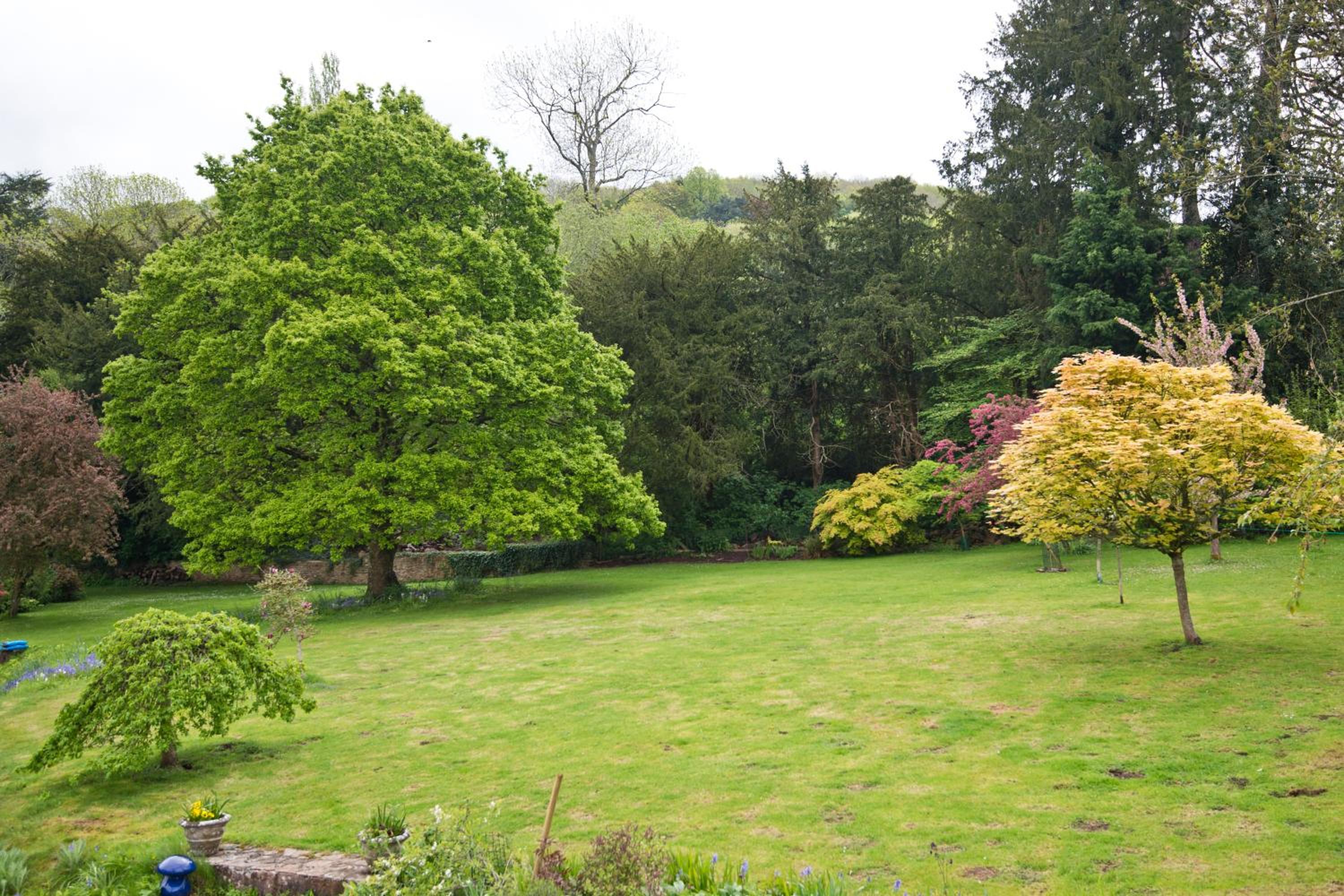 Deluxe Double or Twin Room with Garden View photo 2