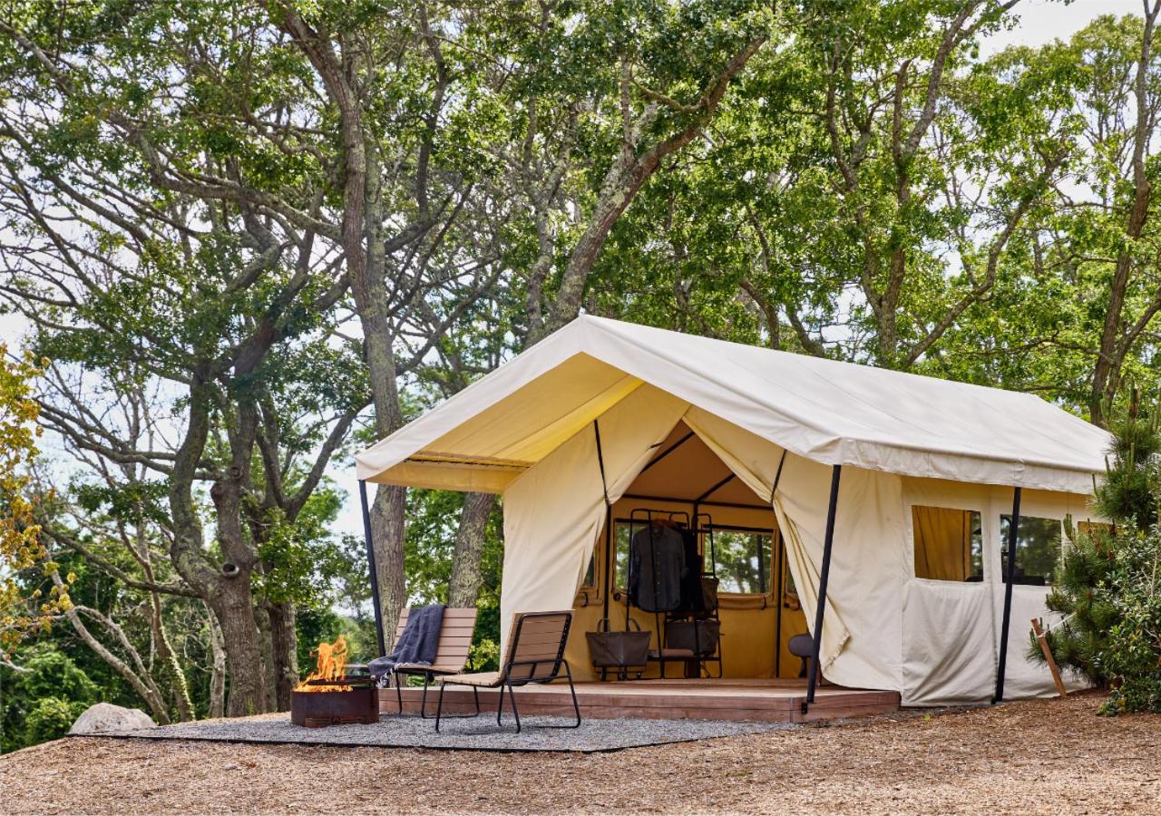 Tent photo 2