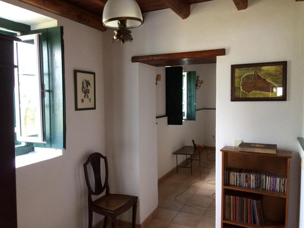 Deluxe King Suite - Photo 7