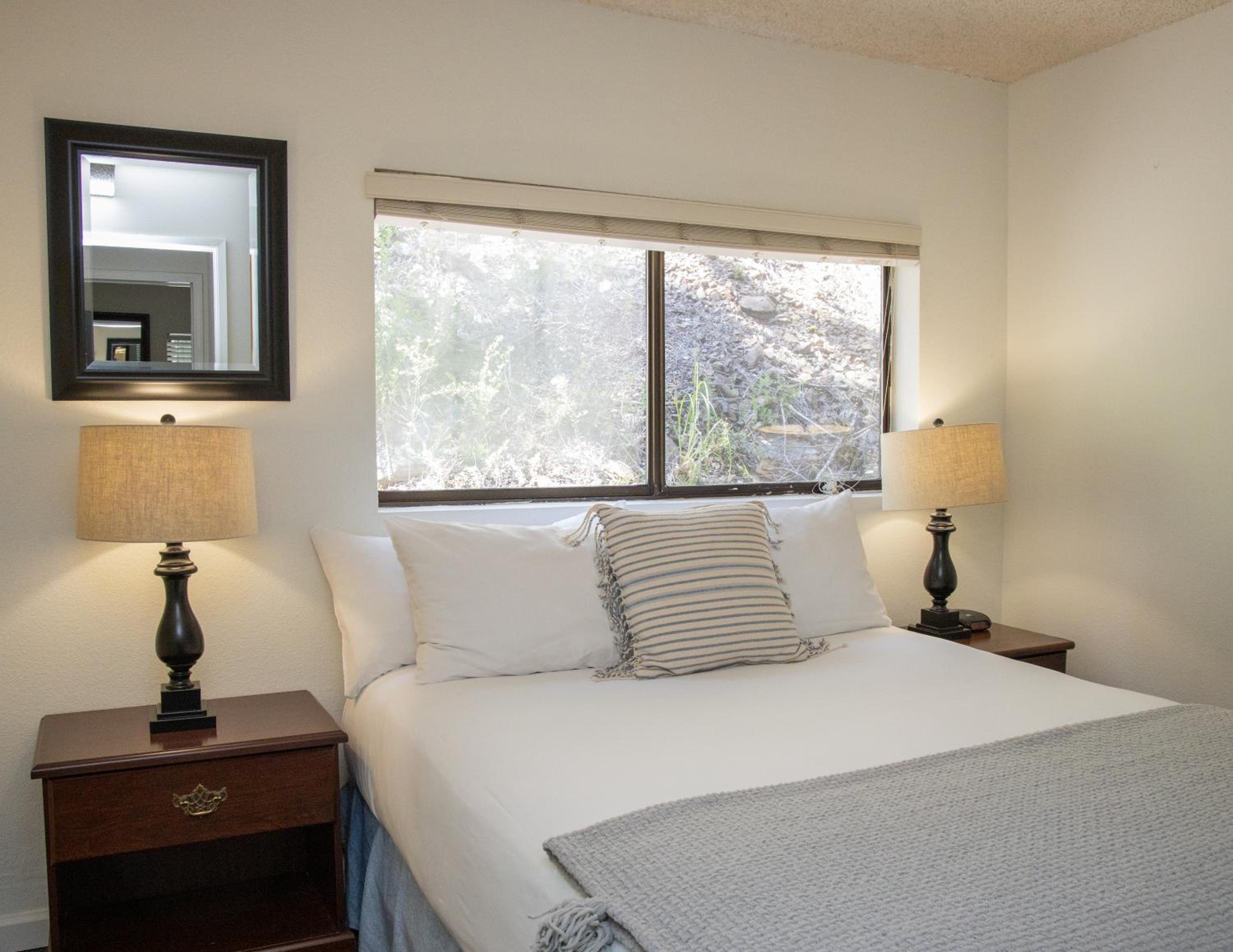Suite - Photo 1
