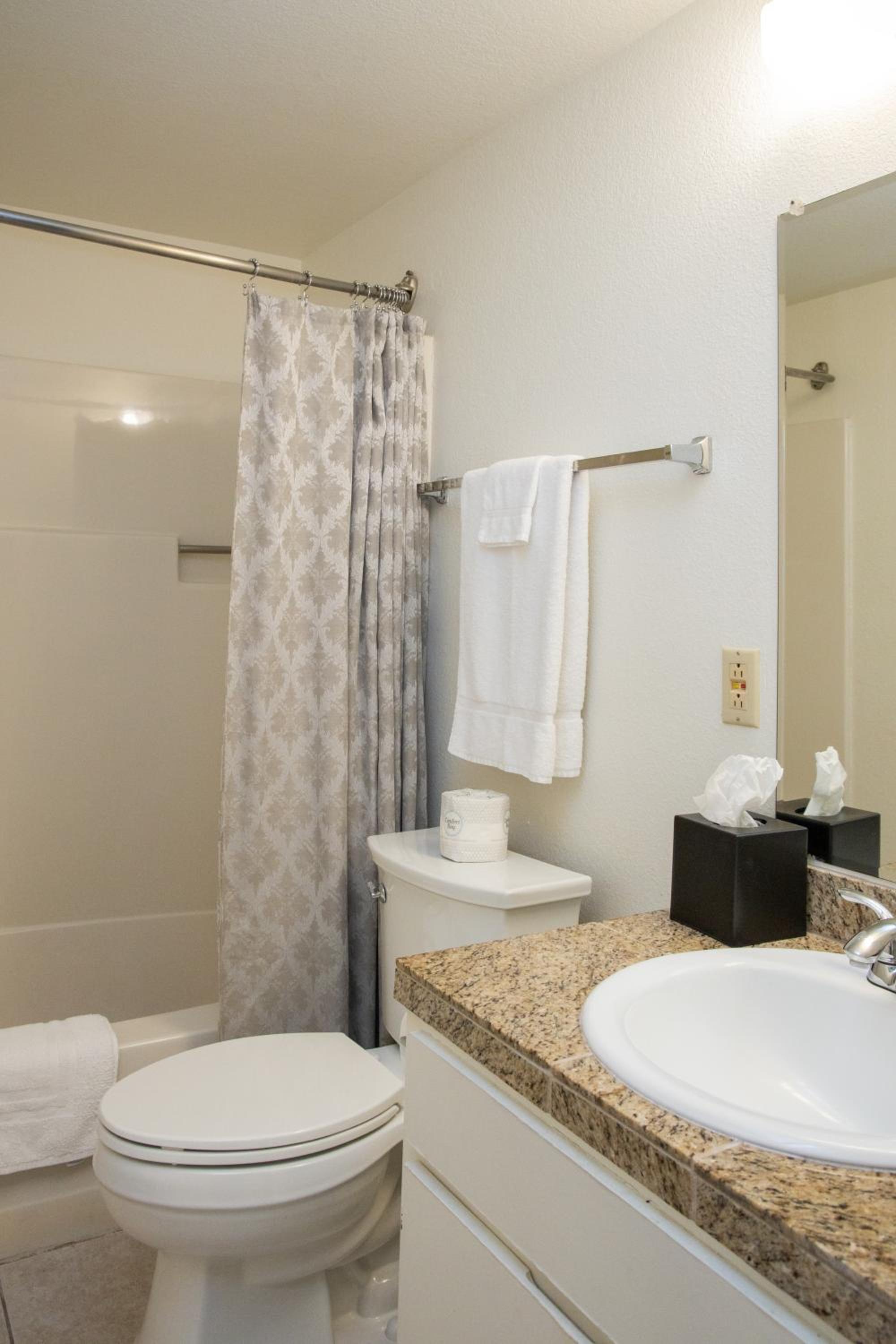 Suite - Photo 2