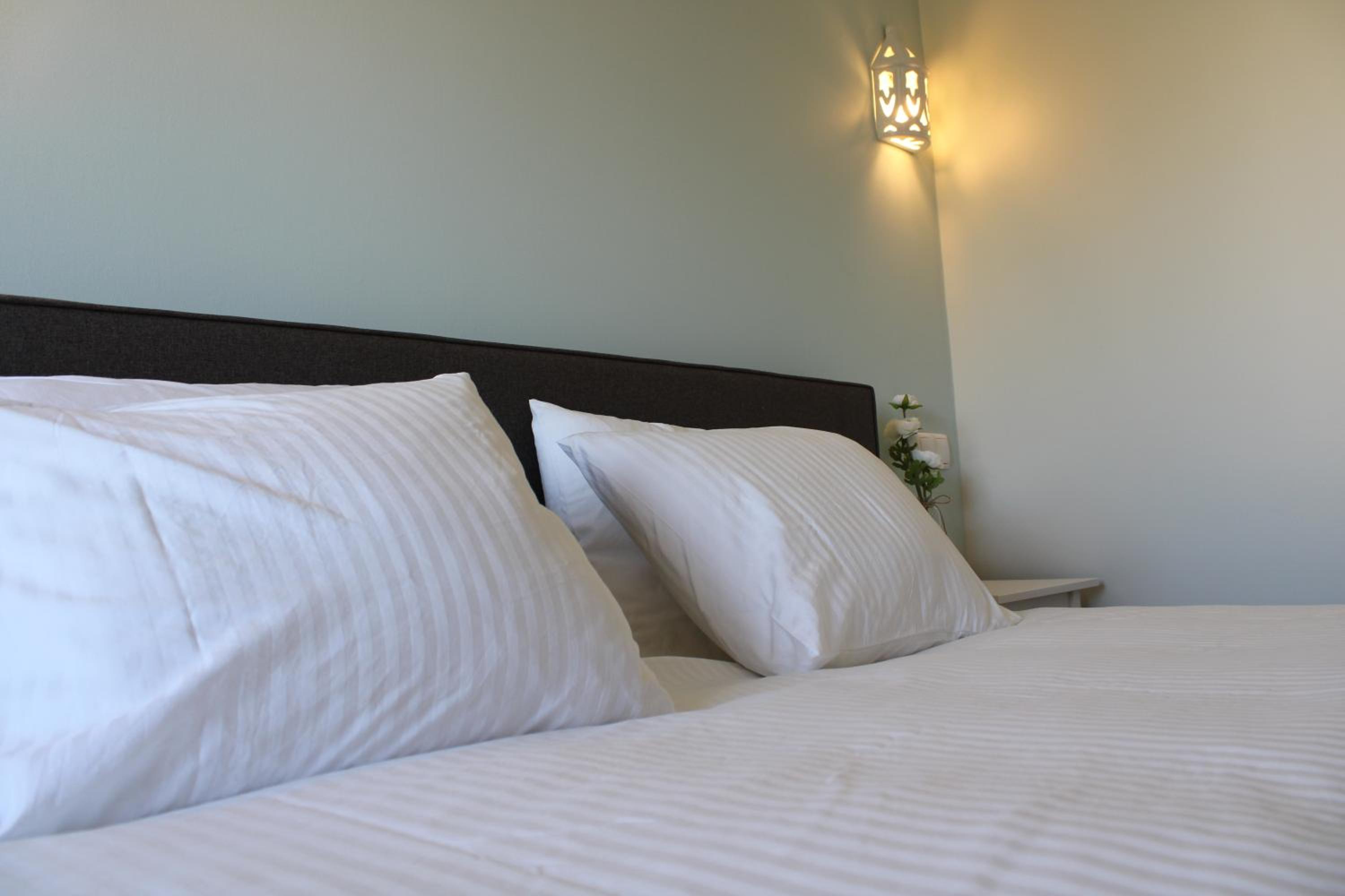 Deluxe Double or Twin Room with Garden View photo 3