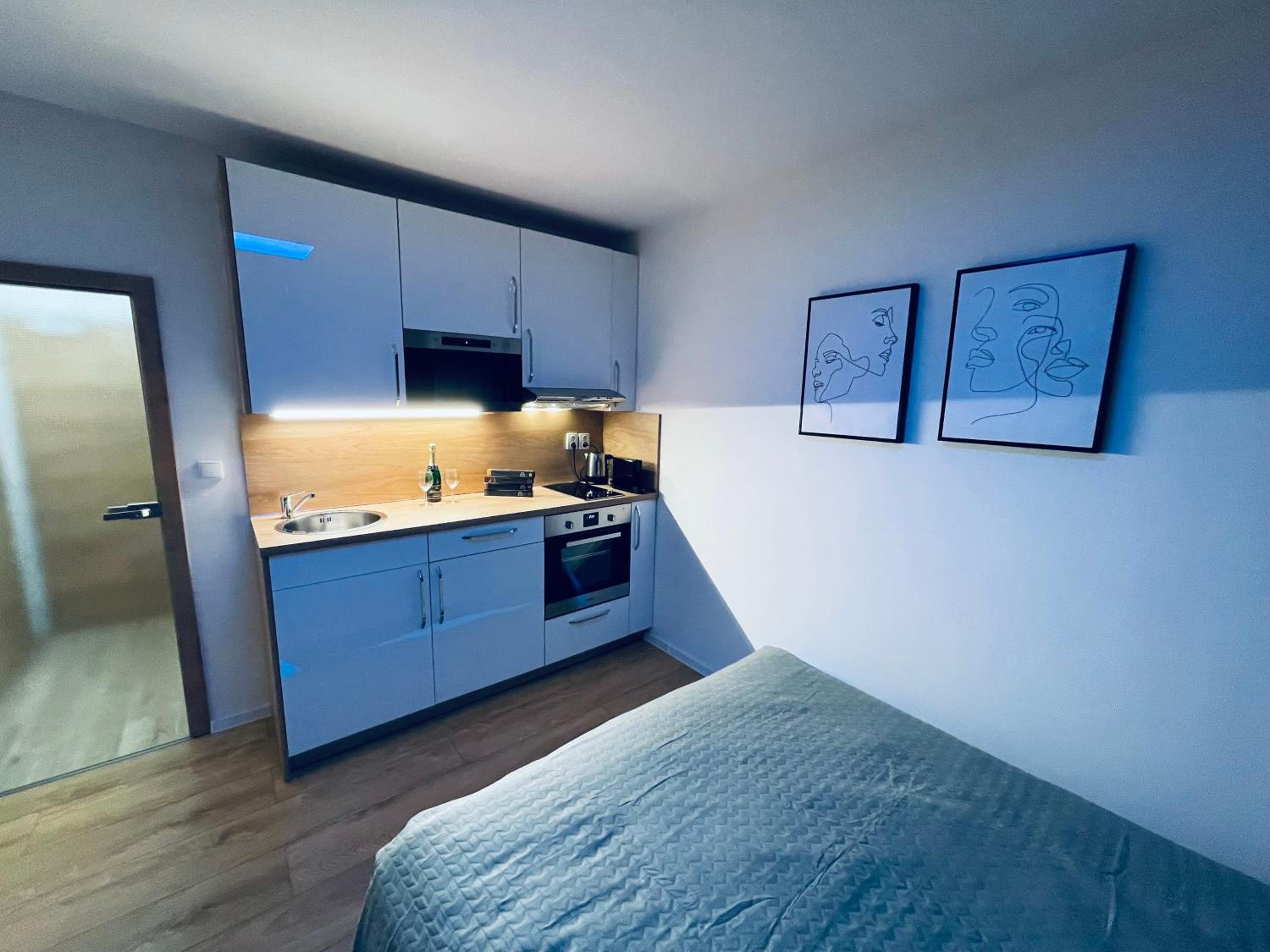 One-Bedroom Apartment - Photo 16