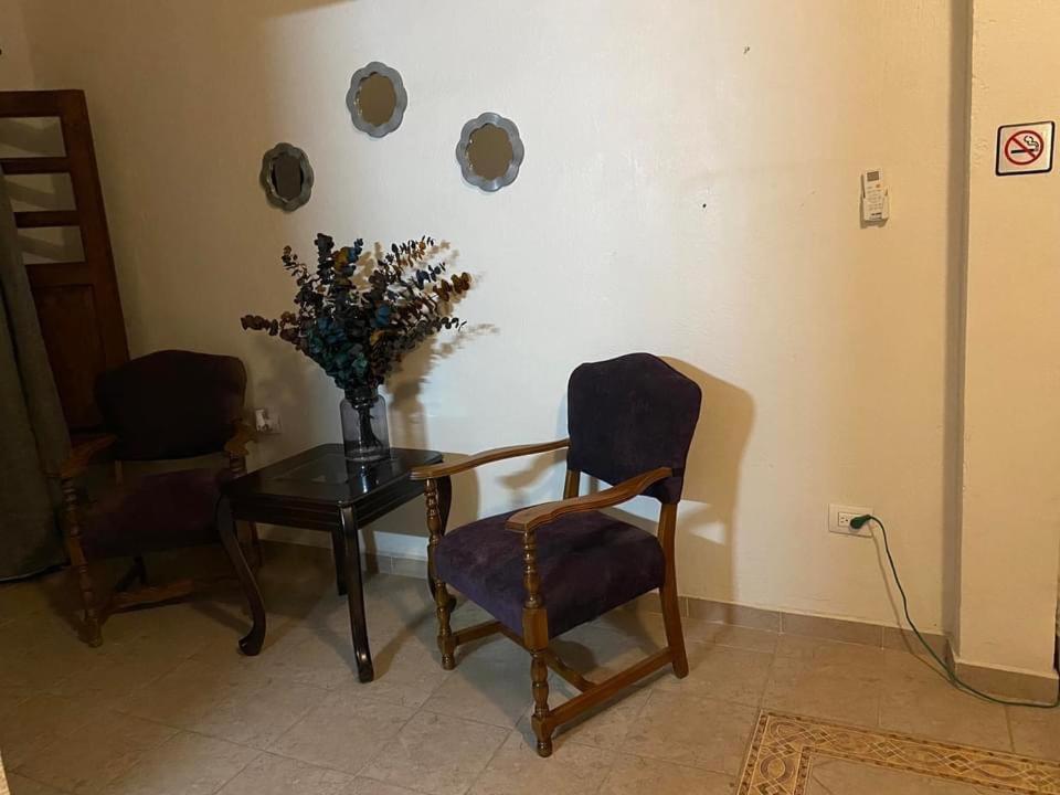 Double Room with Terrace photo 3