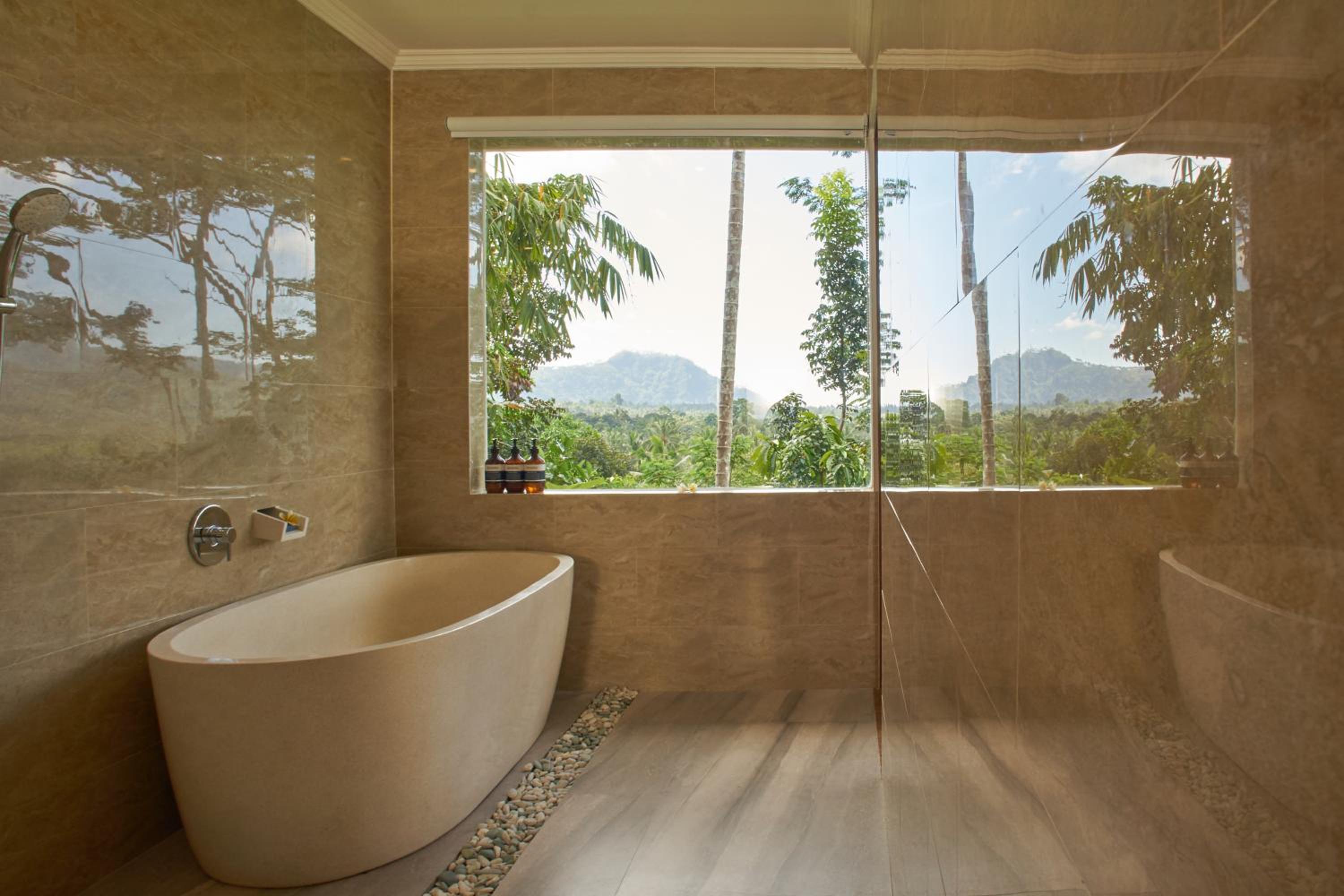 Deluxe Double or Twin Room with Mountain View - Photo 9