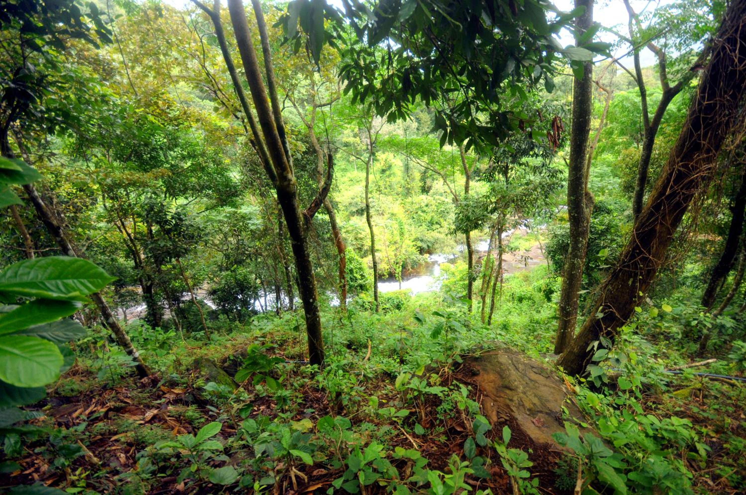 Double Room with Mountain View photo 2