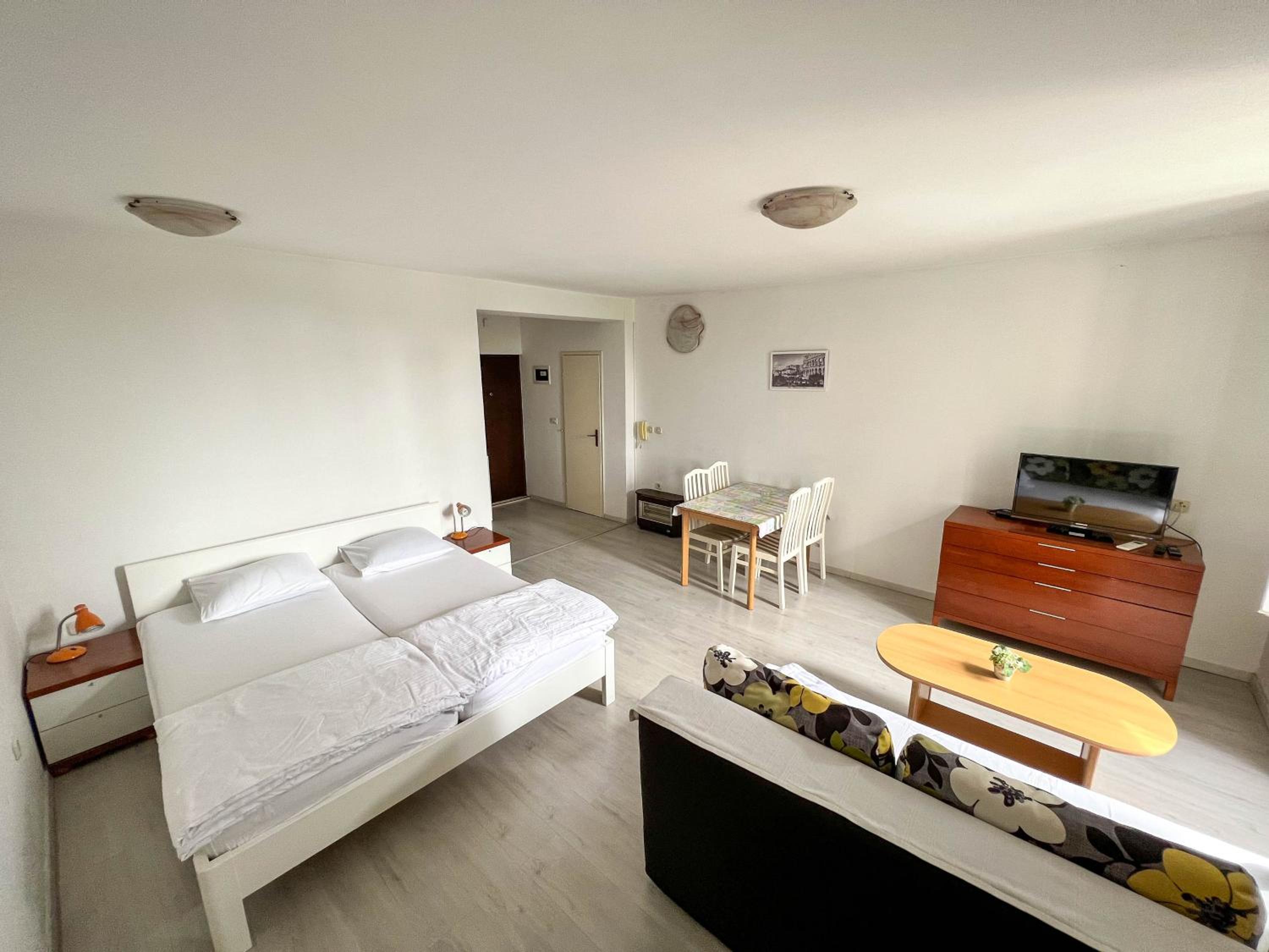 Studio Apartment - Photo 3