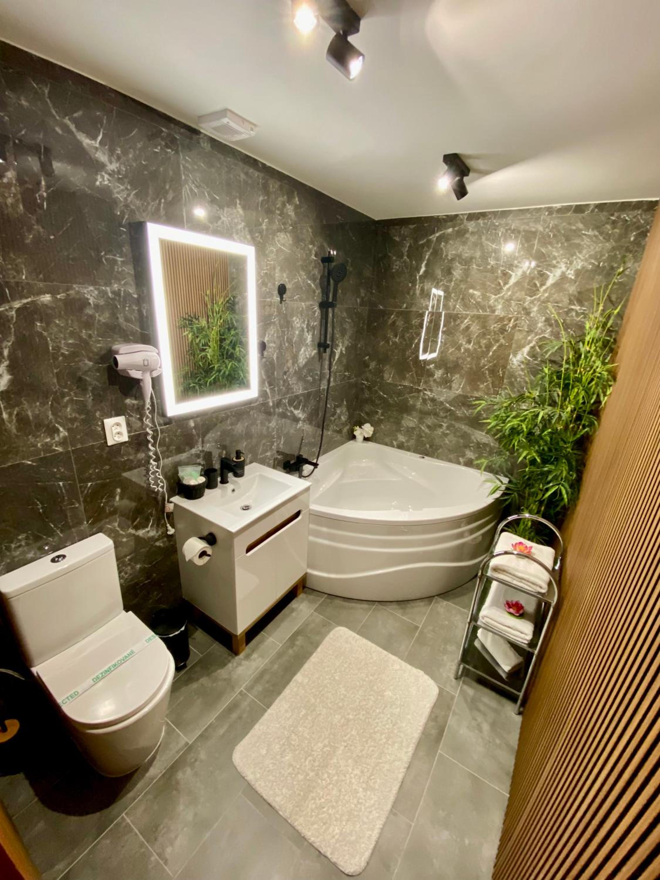 Large Double Room photo 1