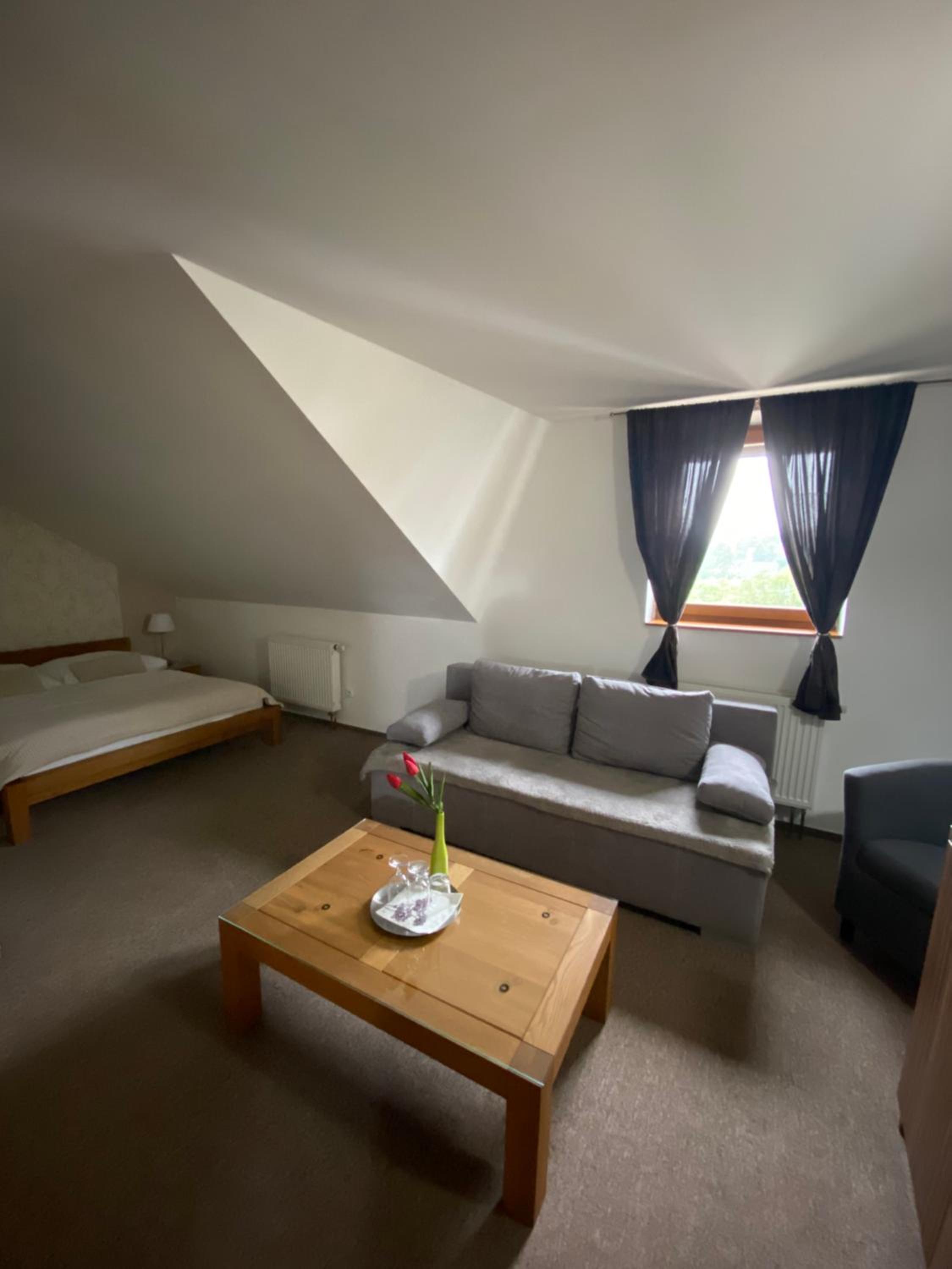 Large Double Room photo 2