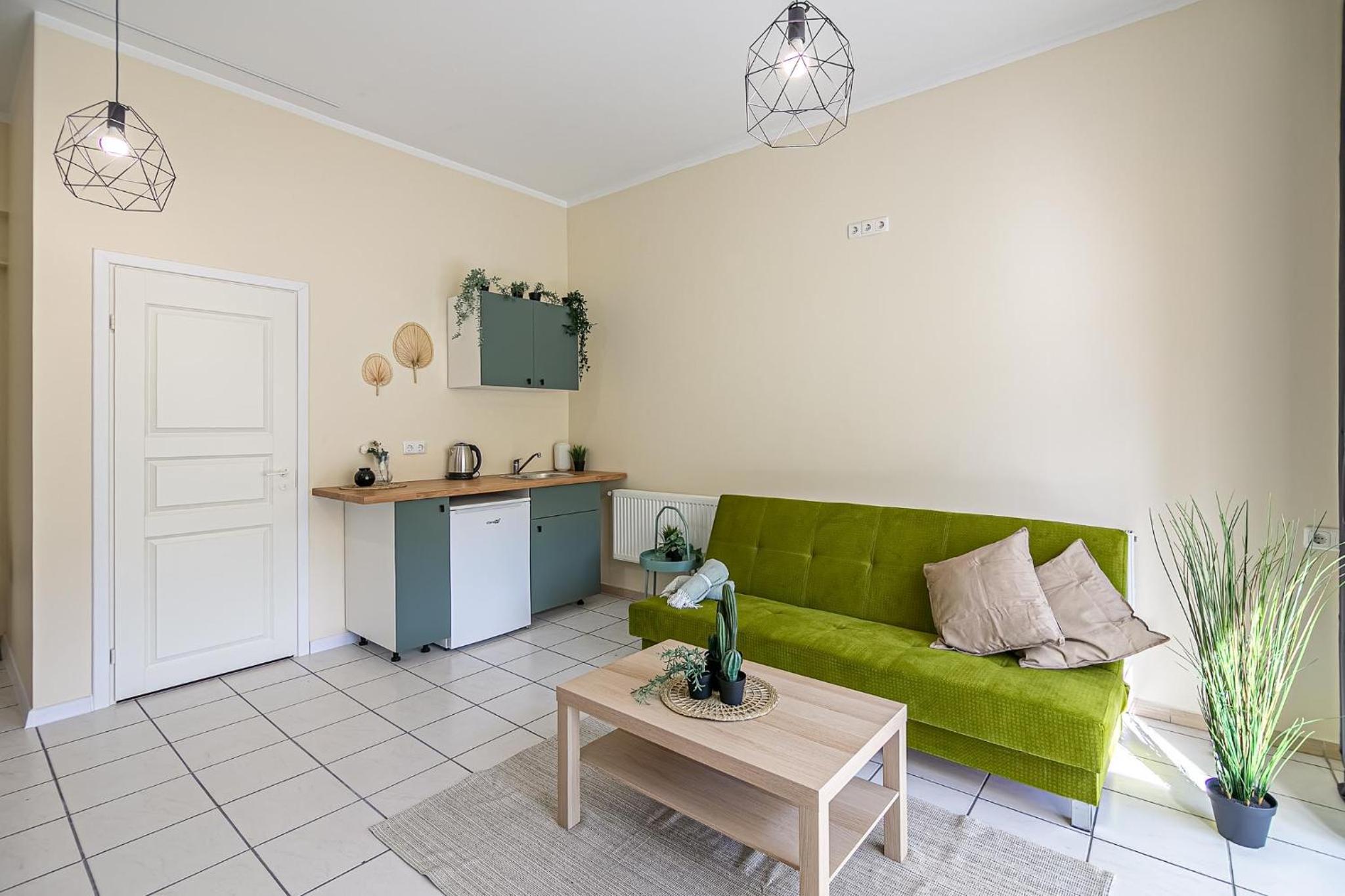 Superior Apartment - Photo 22