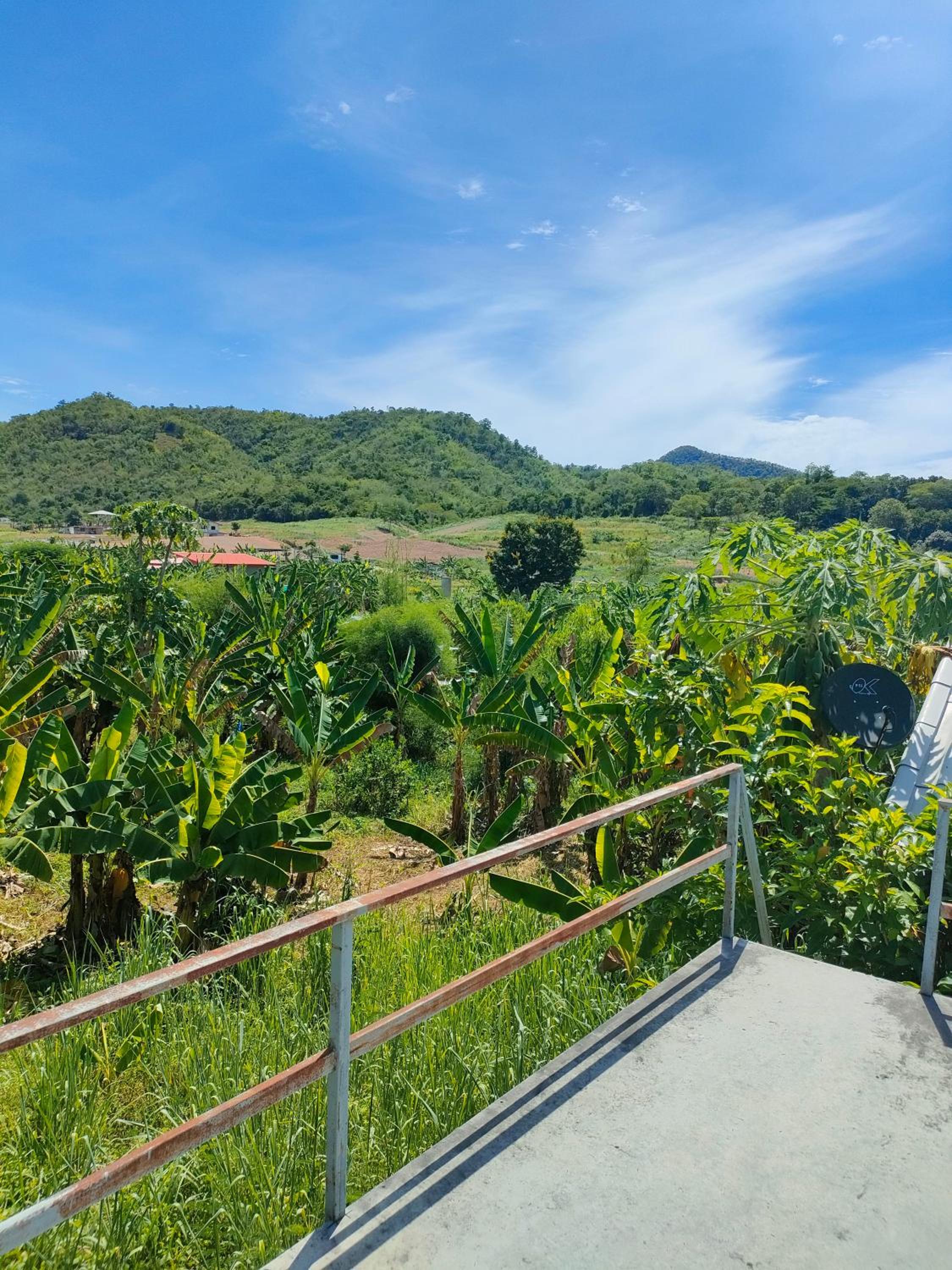 Double Room with Garden View - Photo 27