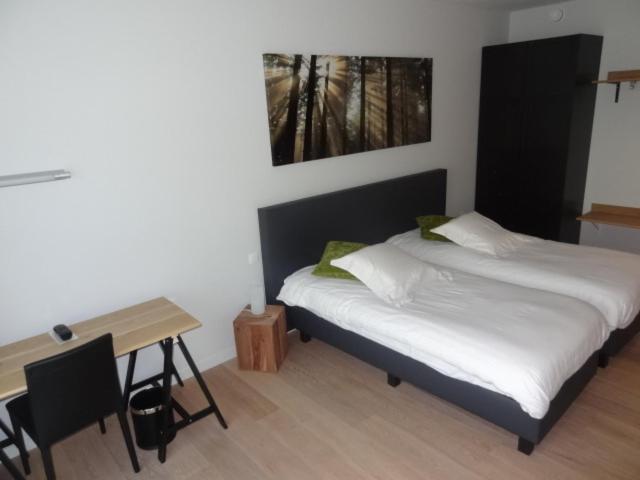 Double or Twin Room photo 1