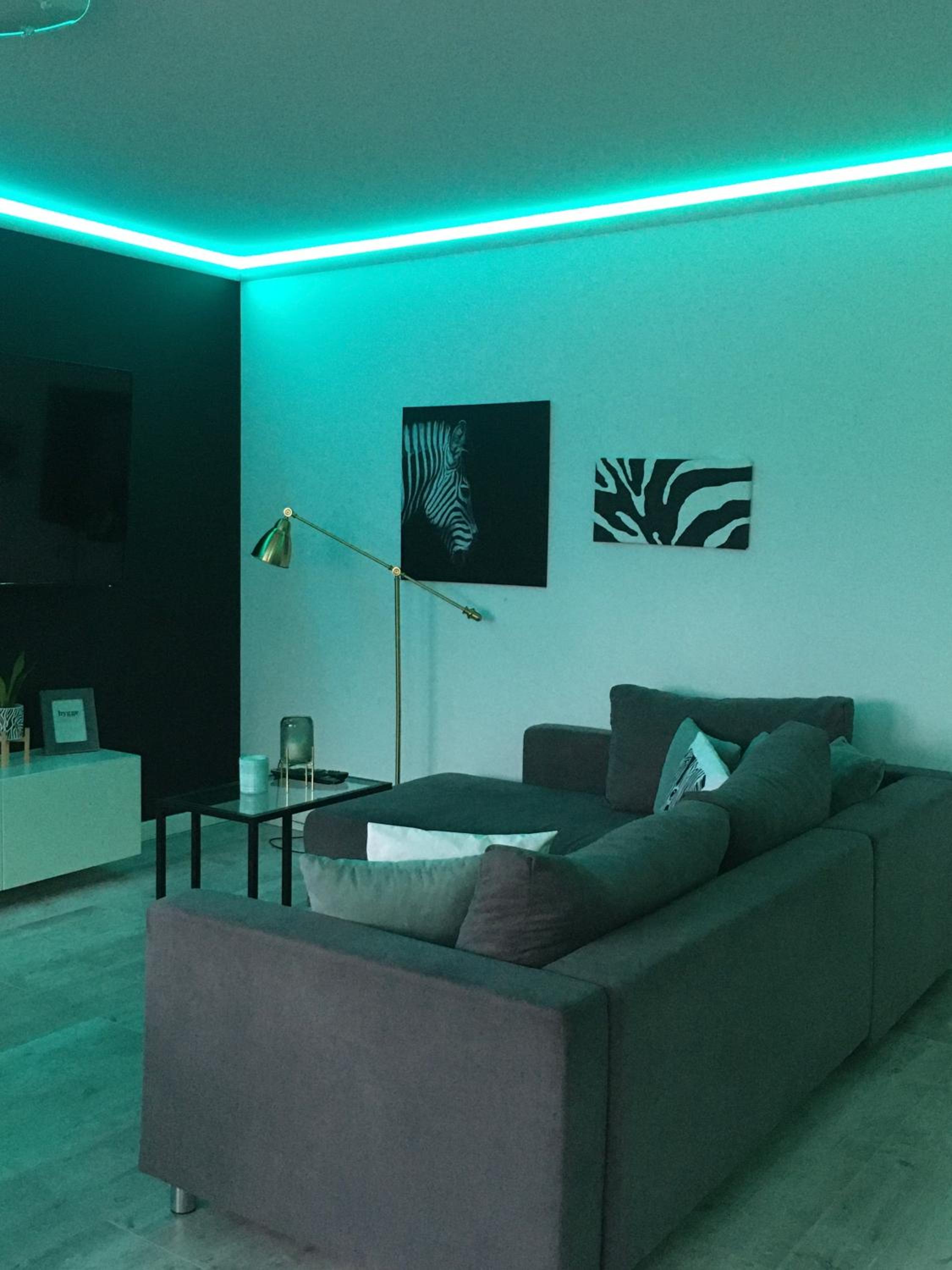 One-Bedroom Apartment - Photo 36
