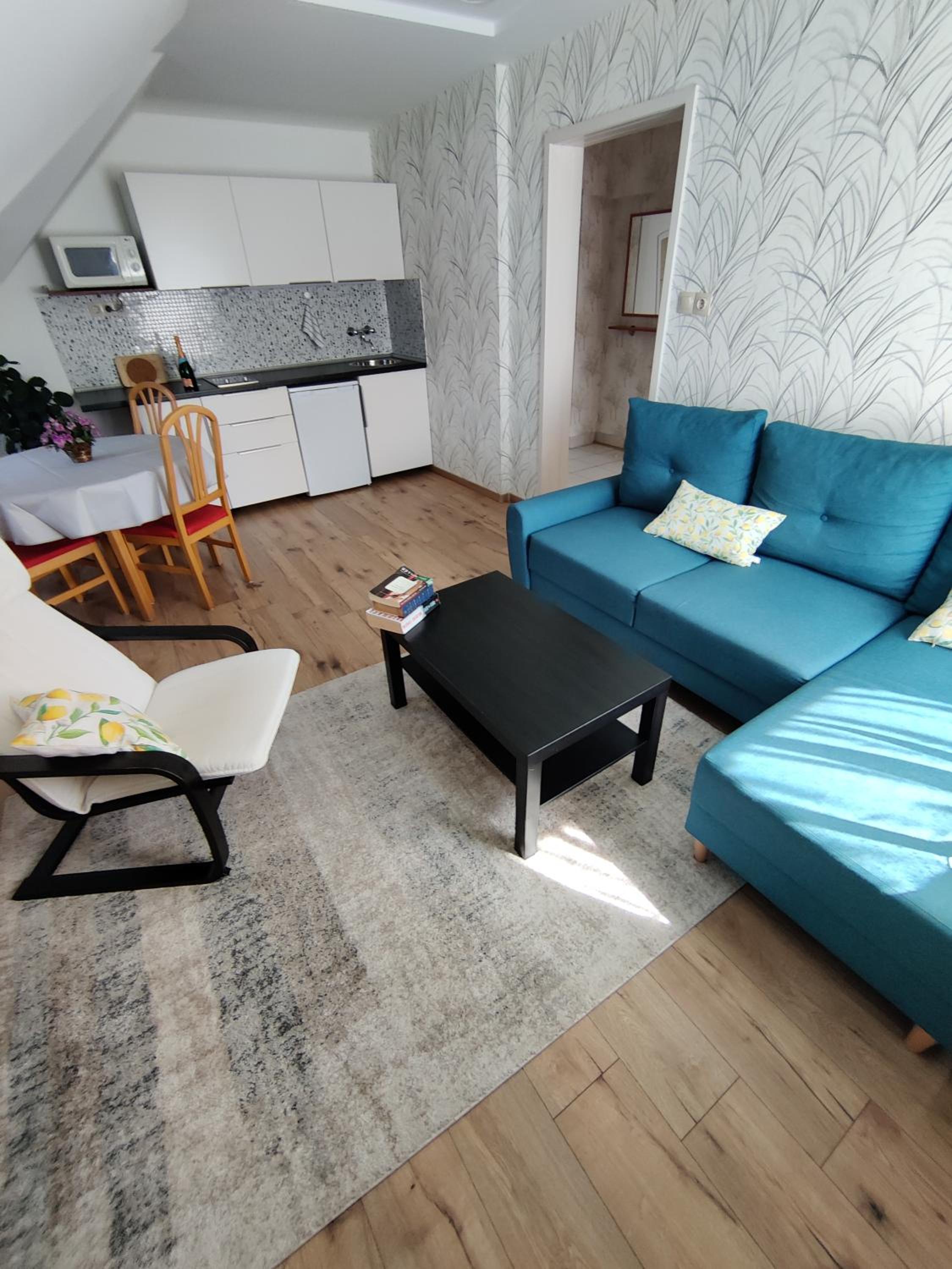 One-Bedroom Apartment photo 2