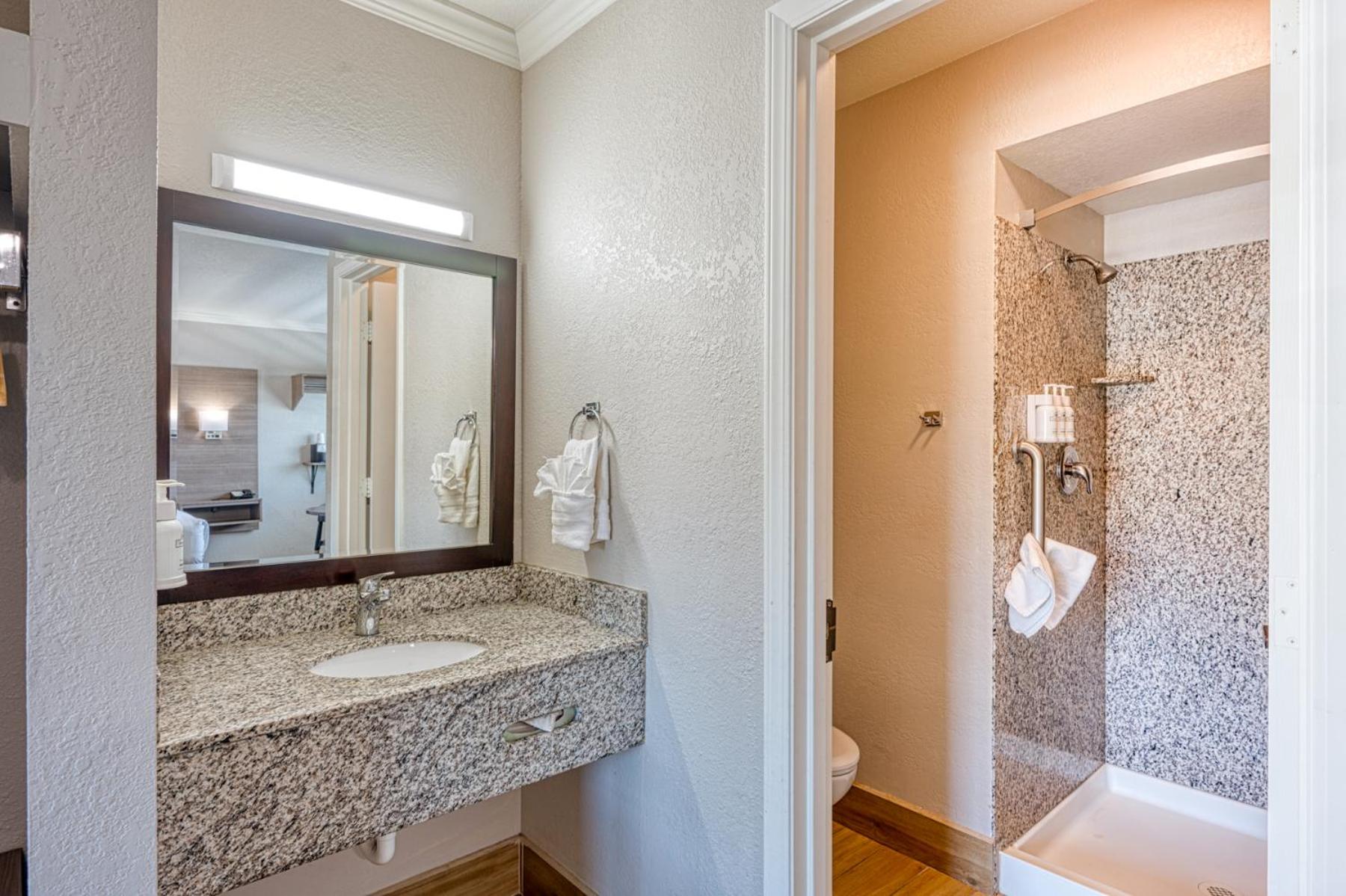 Deluxe King Suite - Photo 5