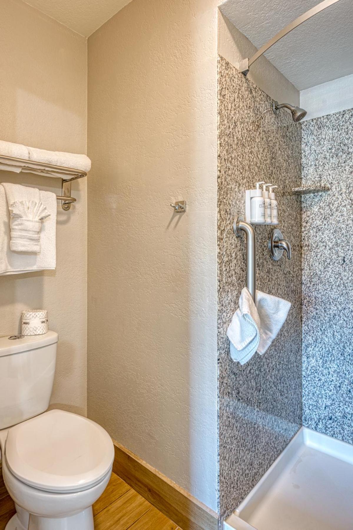 Deluxe King Suite - Photo 6