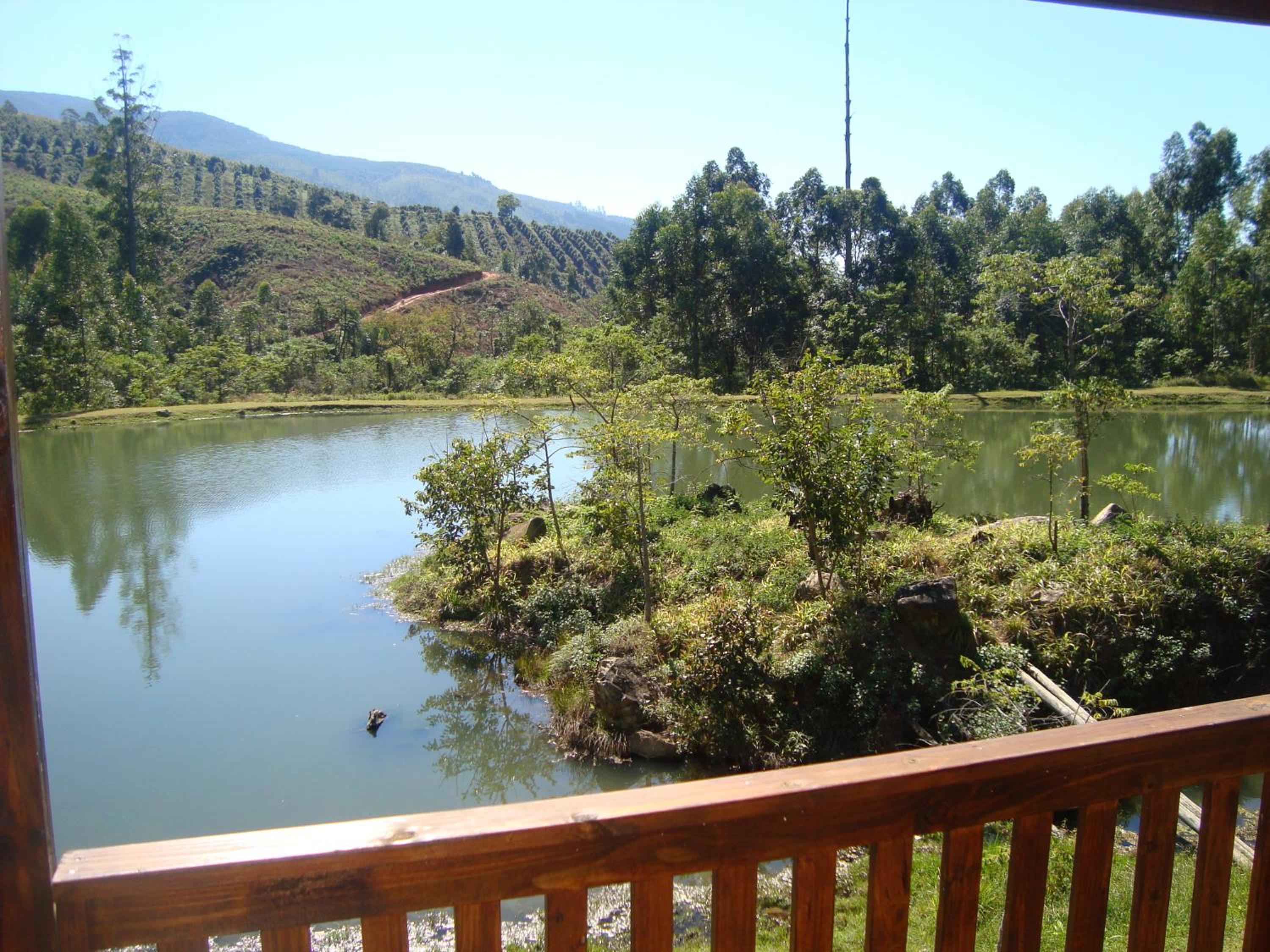 Log Cabin 2  photo 3