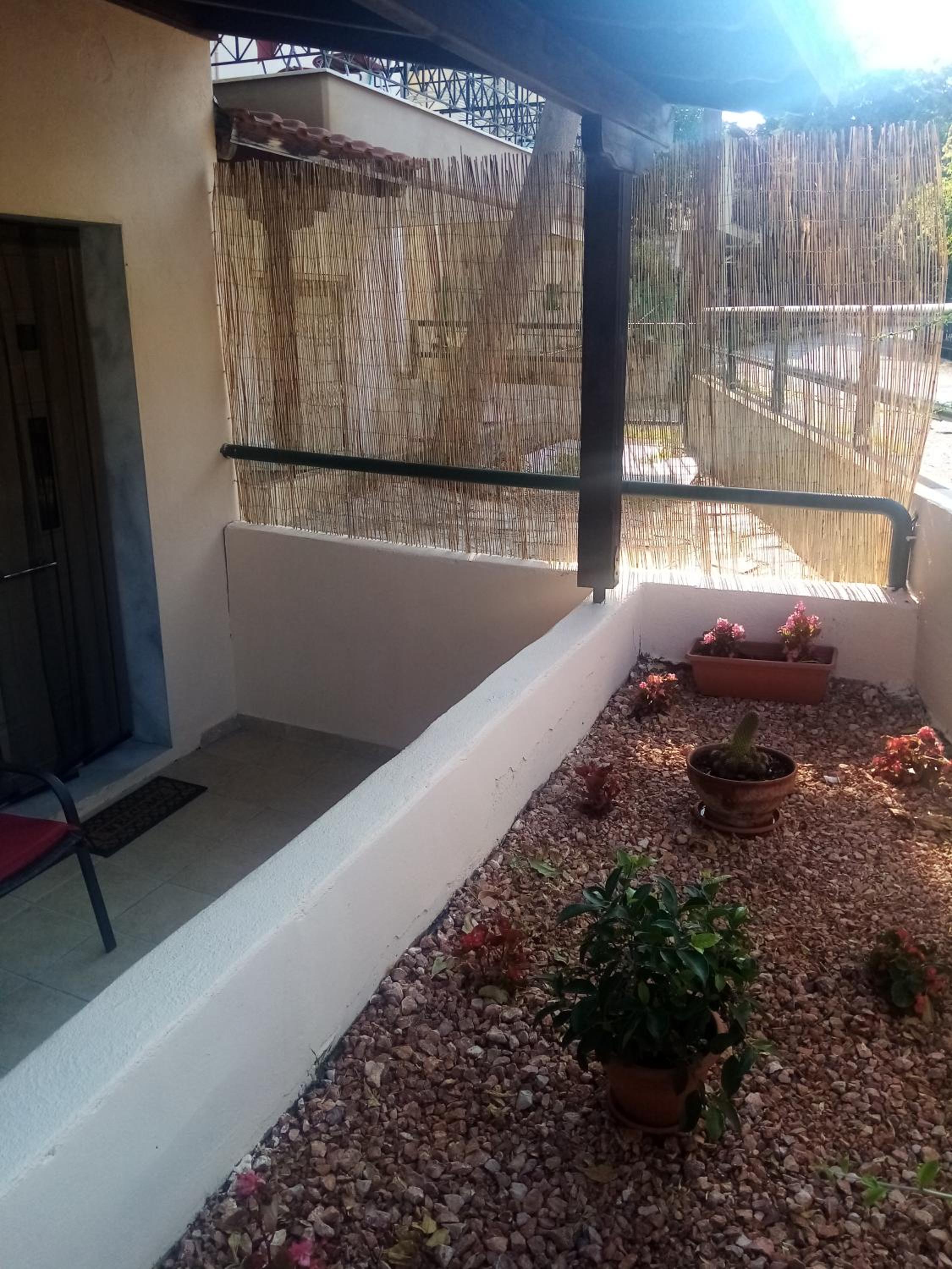 Studio with Terrace photo 3