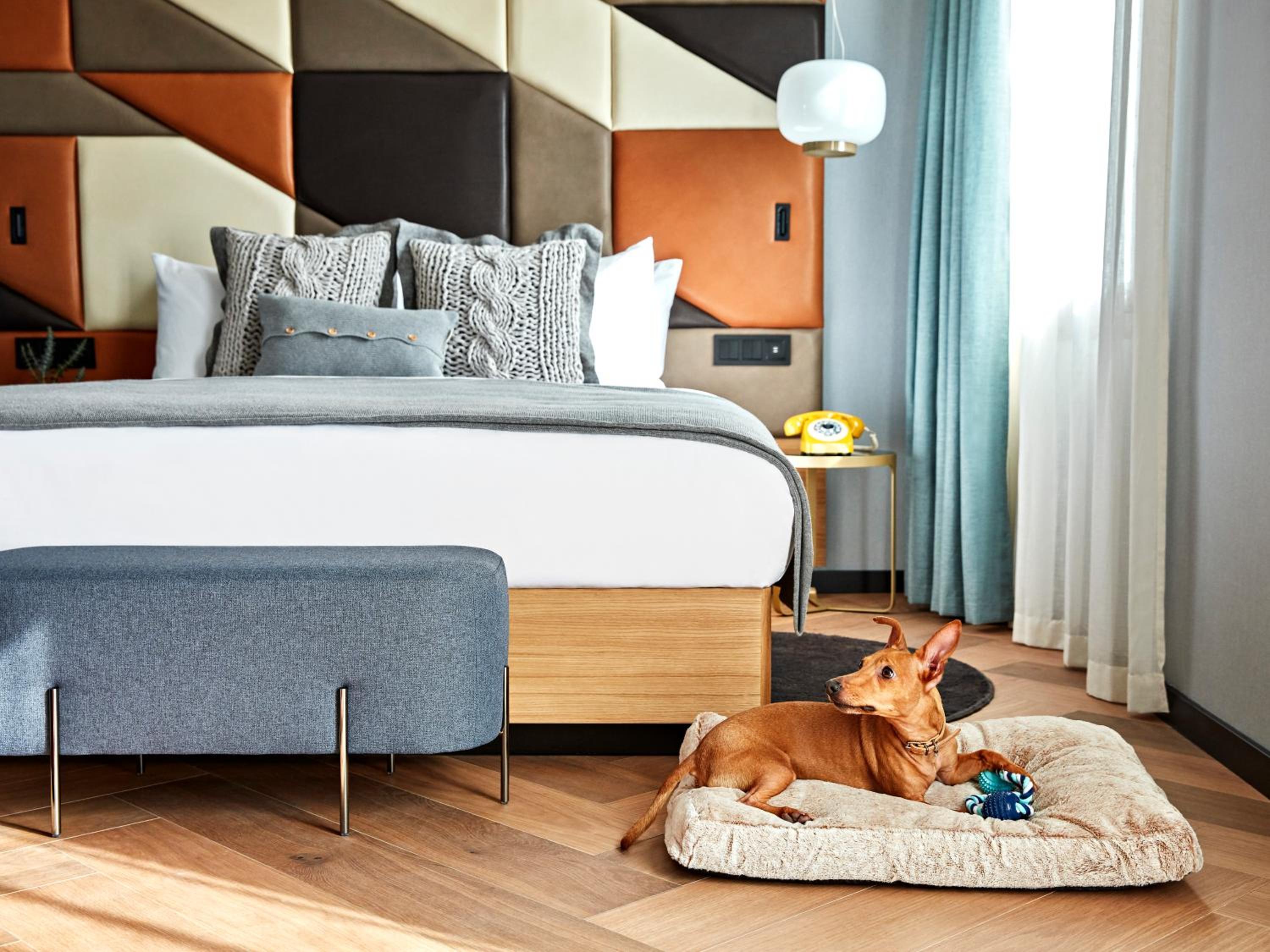 King Suite de Vivi photo 3