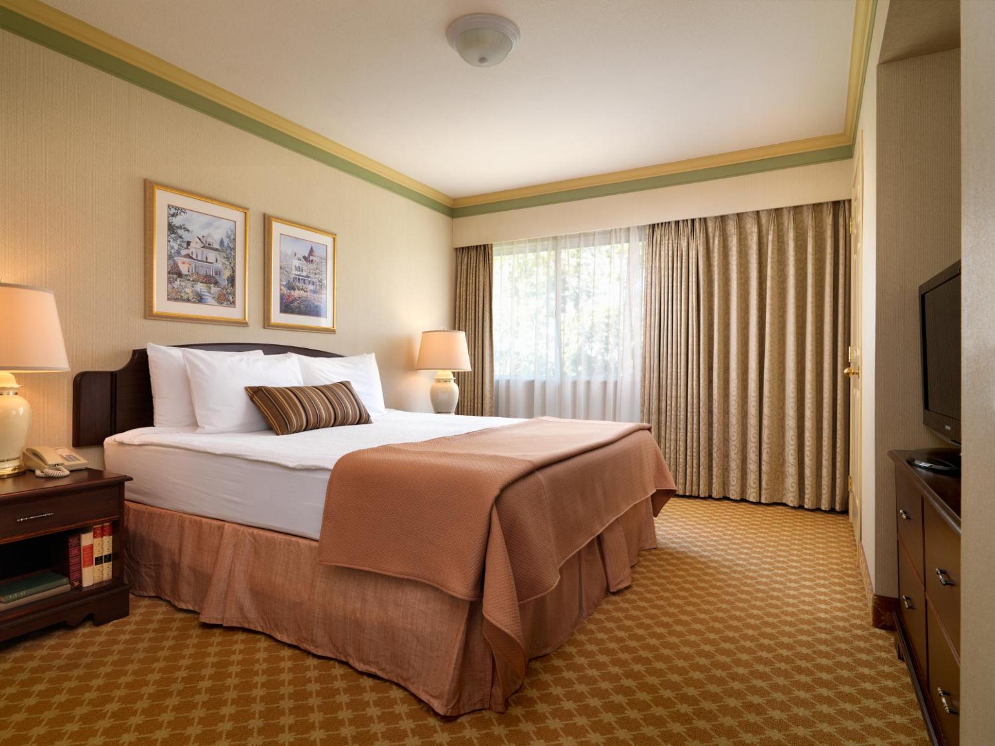 One-Bedroom Suite - Photo 5