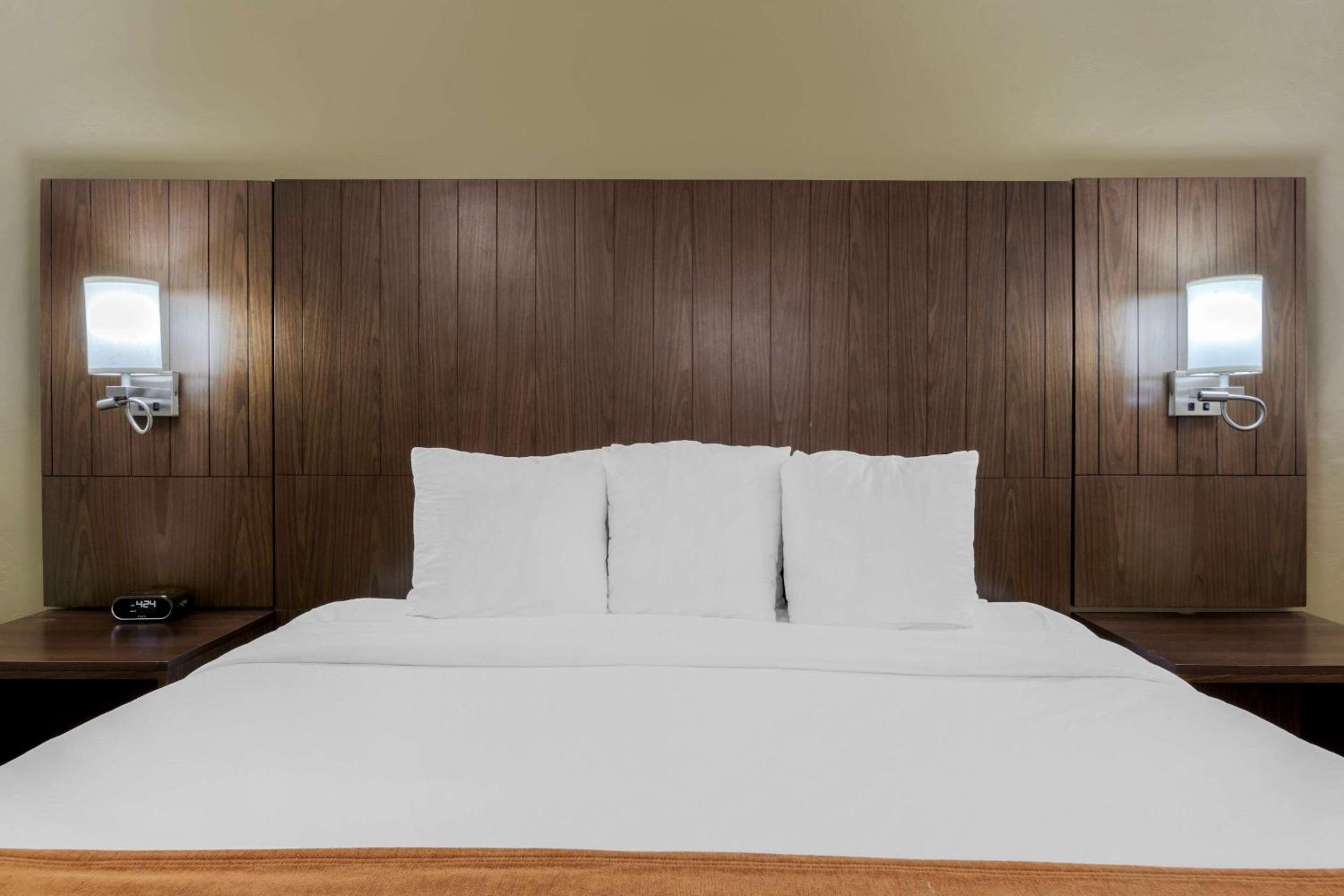King Suite - Photo 8