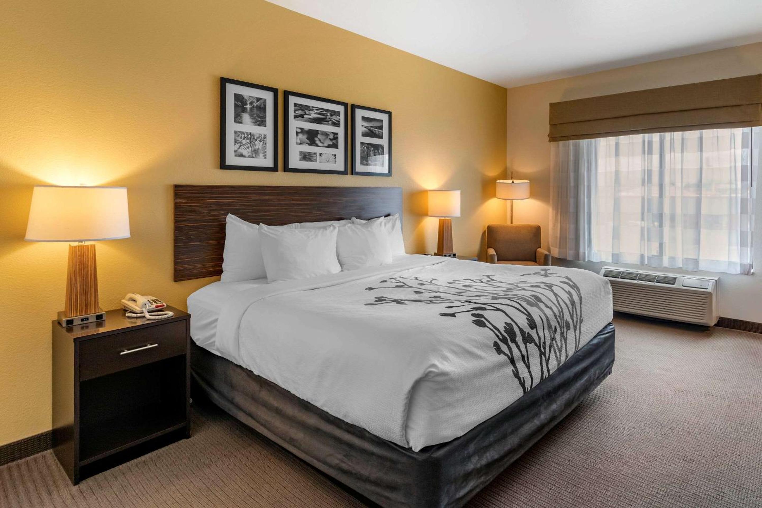 King Room - Non-Smoking - Photo 1