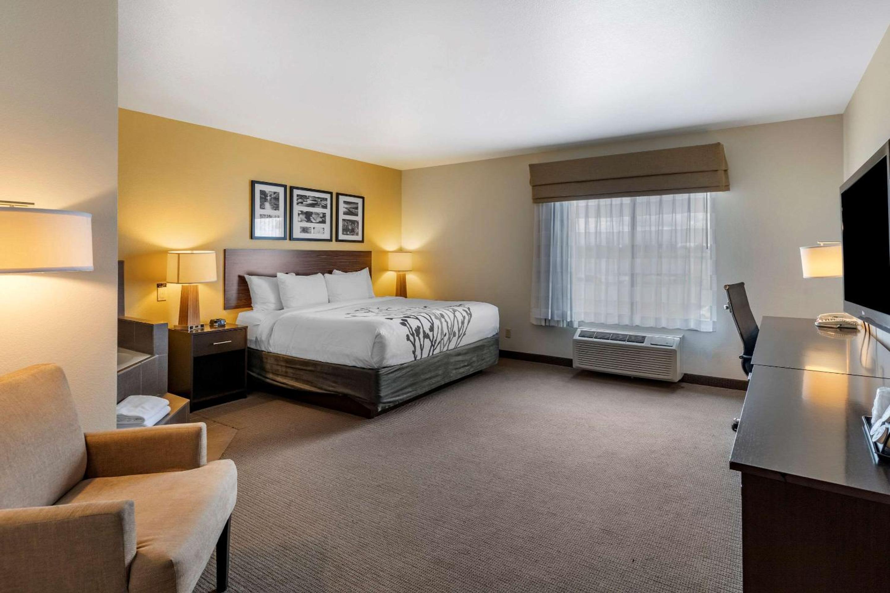 King Suite - Non-Smoking - Photo 5