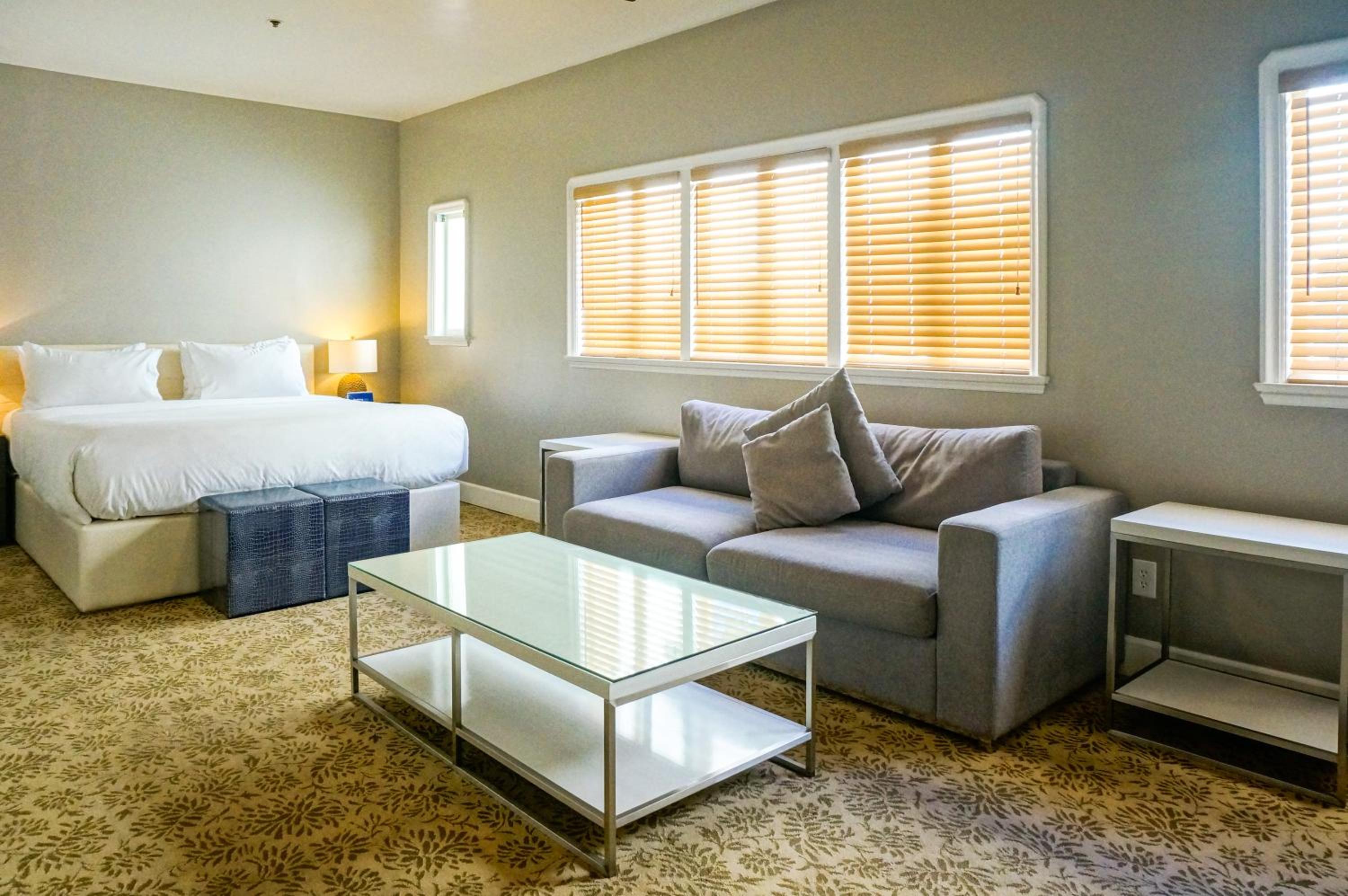 Executive Suite - Photo 1