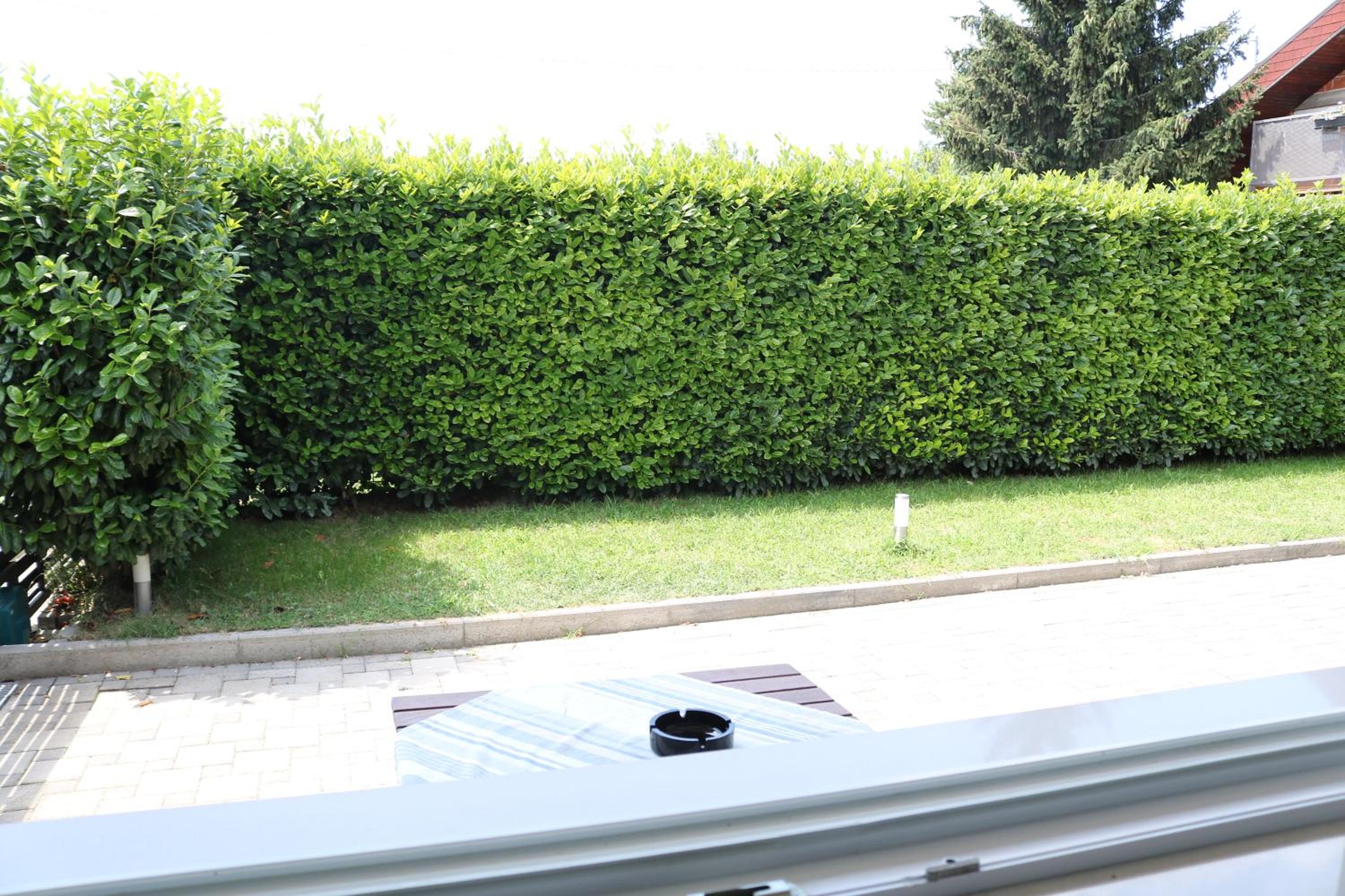 Apartment - Photo 6