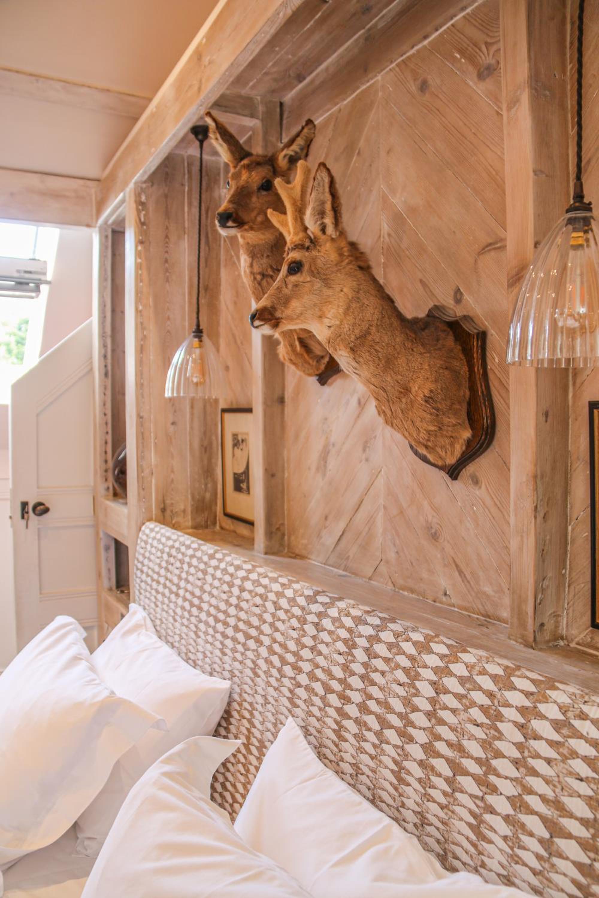 Junior Suite - Photo 1