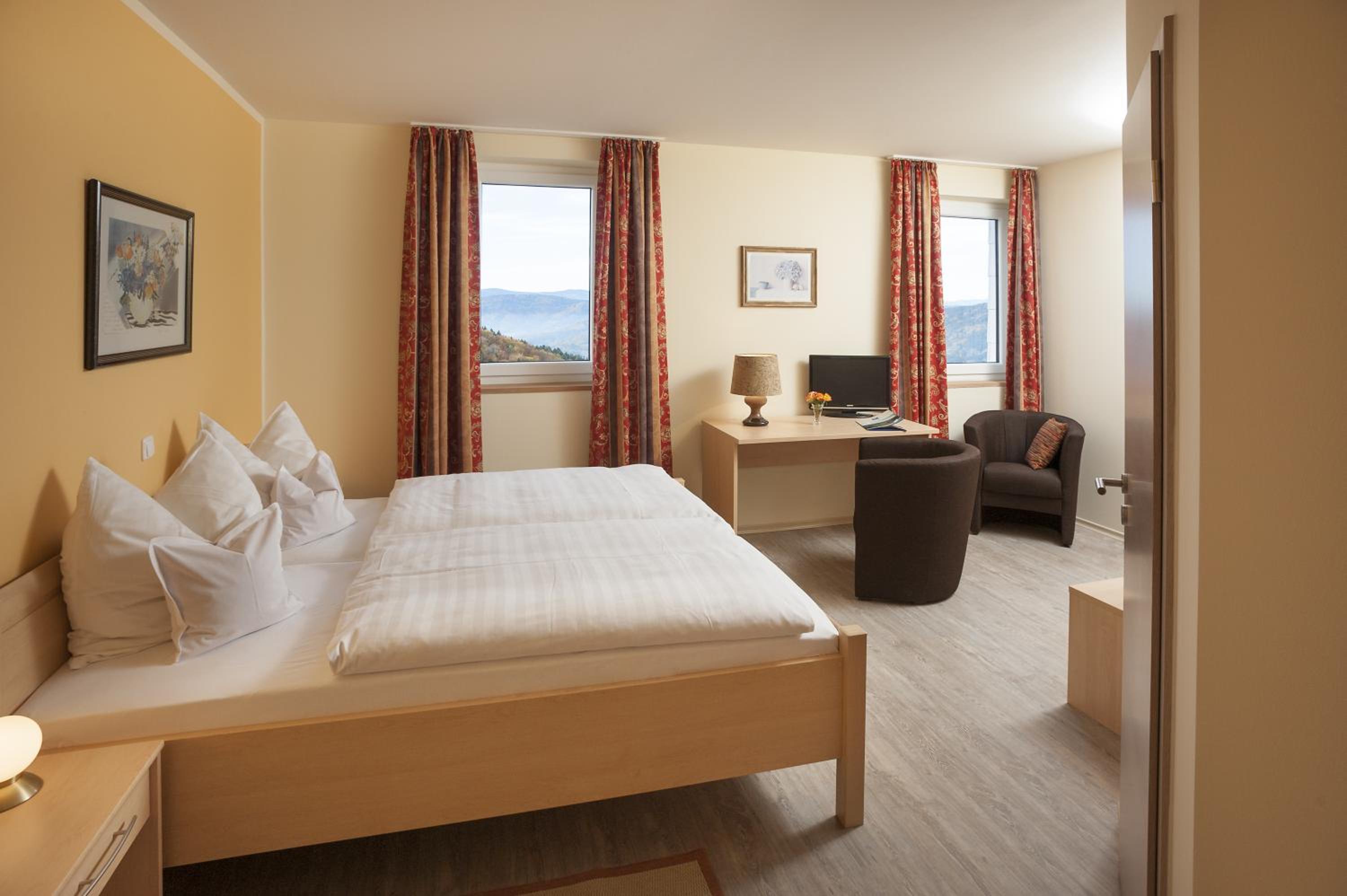 Double Room with Mountain View photo 2