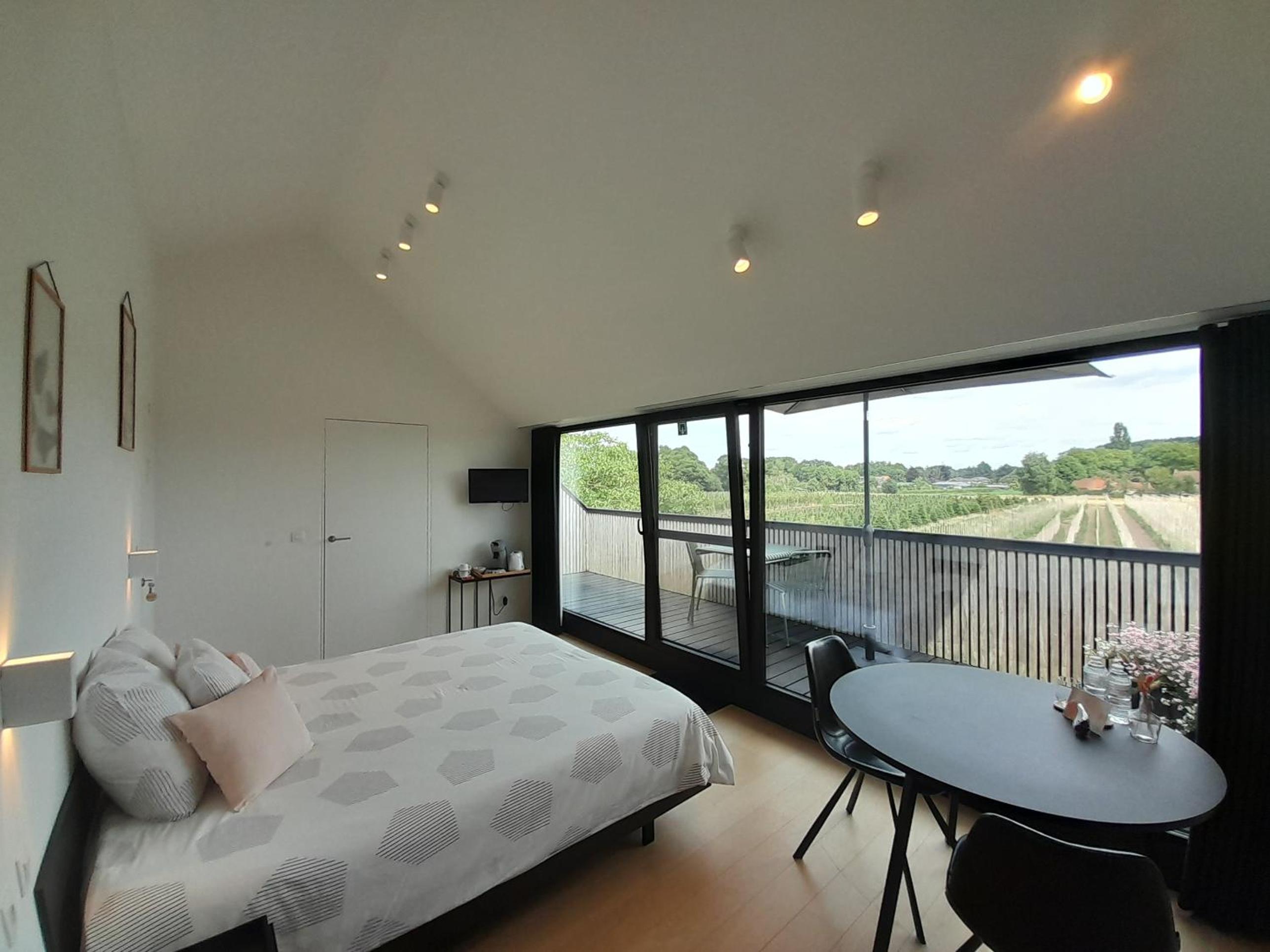 Double or Twin Room with Terrace photo 2