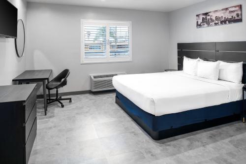 Queen Room - Disability Access photo 3