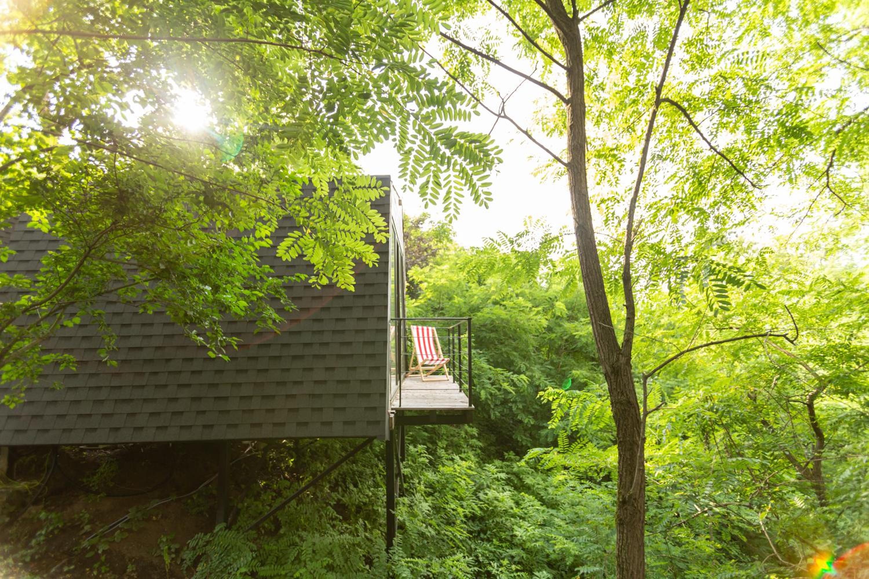 Double Room with Garden View - Photo 9