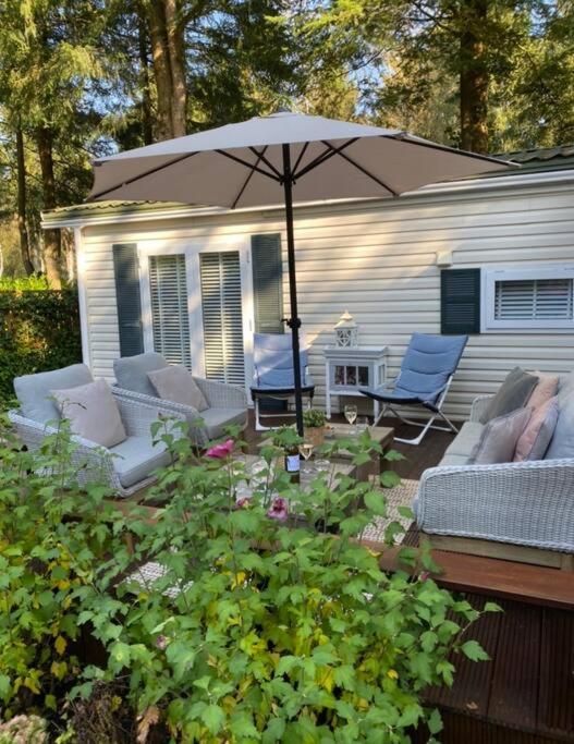 Three-Bedroom Chalet photo 1