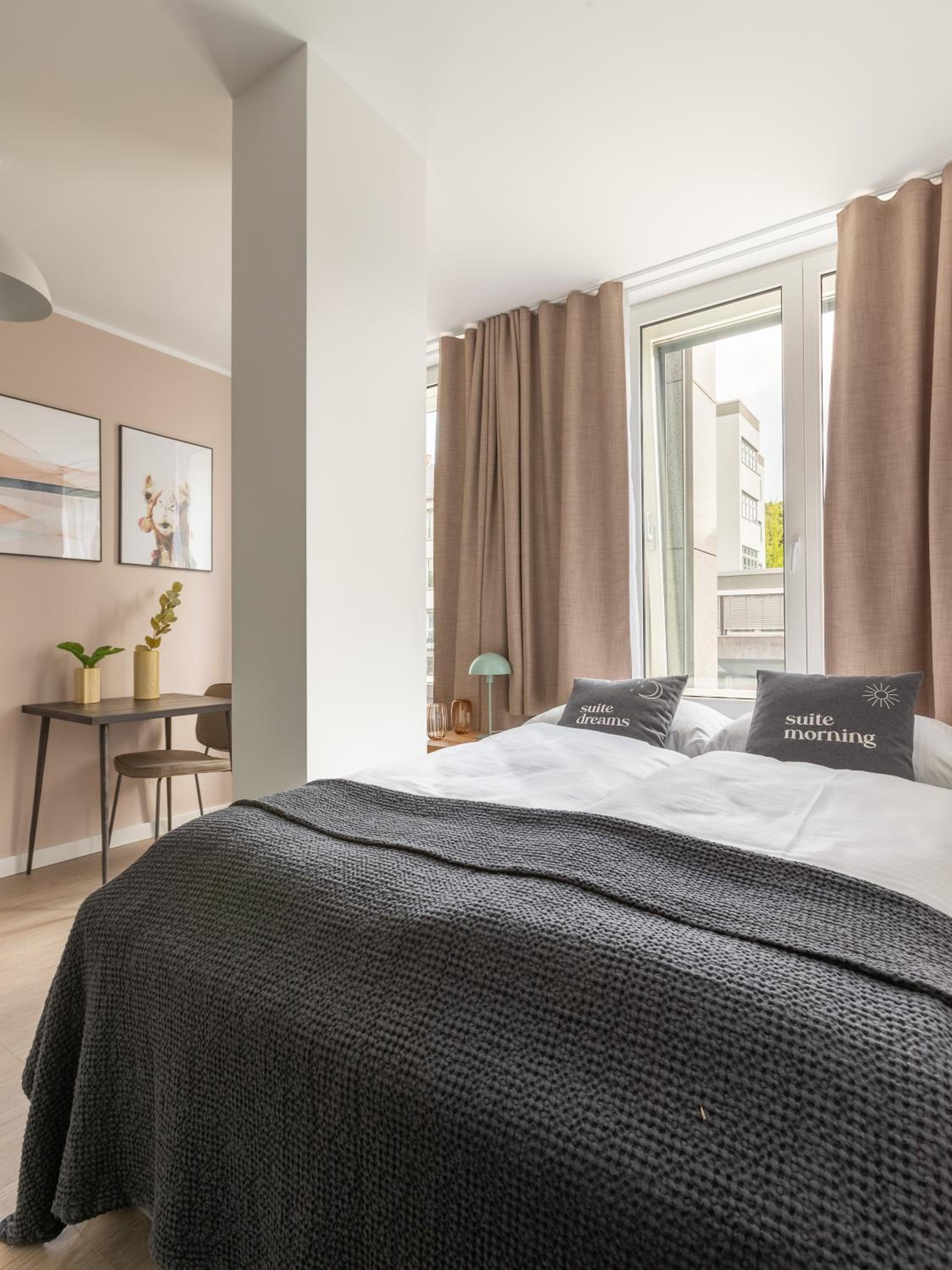 Single Suite  photo 2