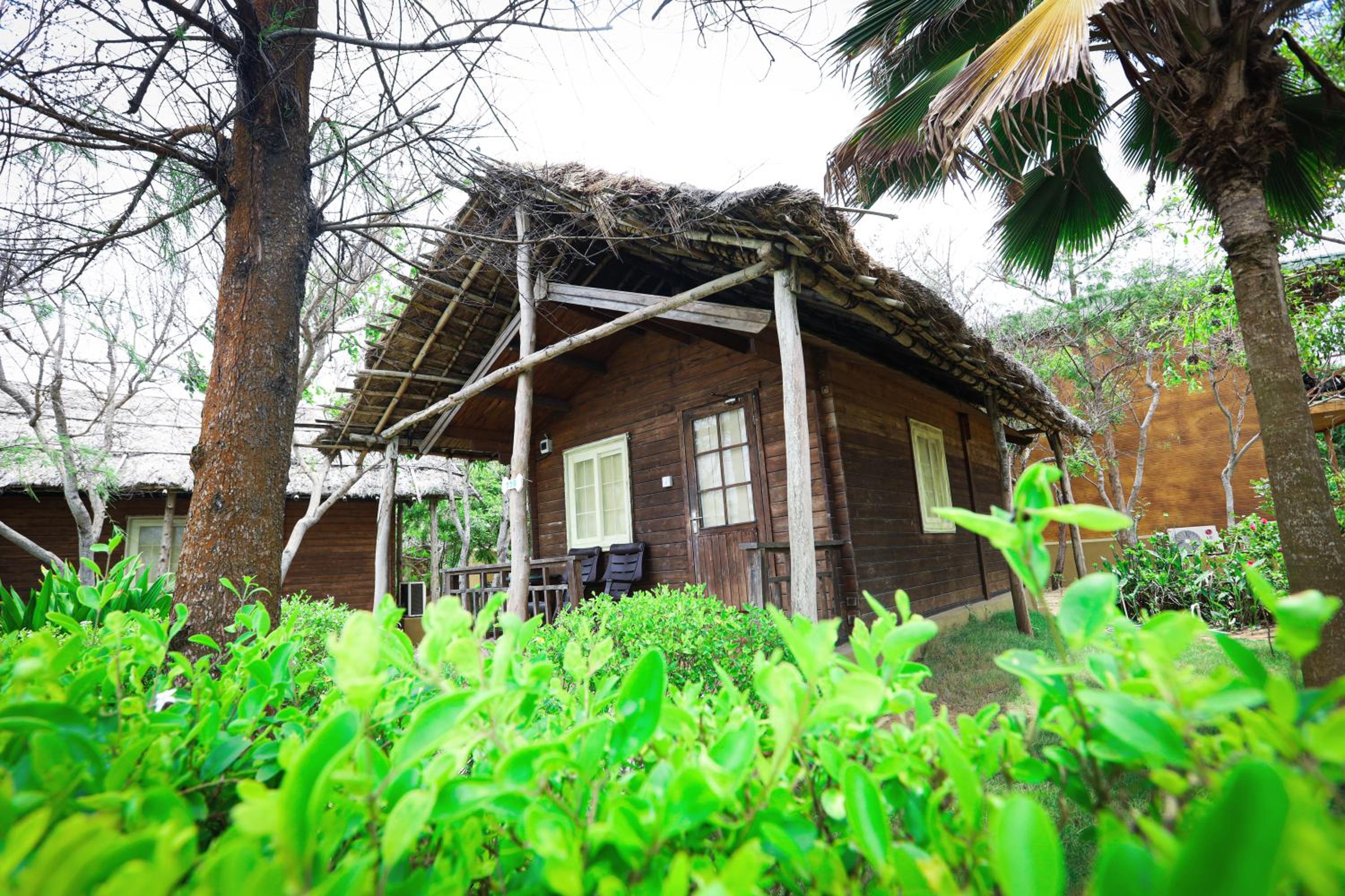 Sea Breeze Deluxe Cottage photo 2